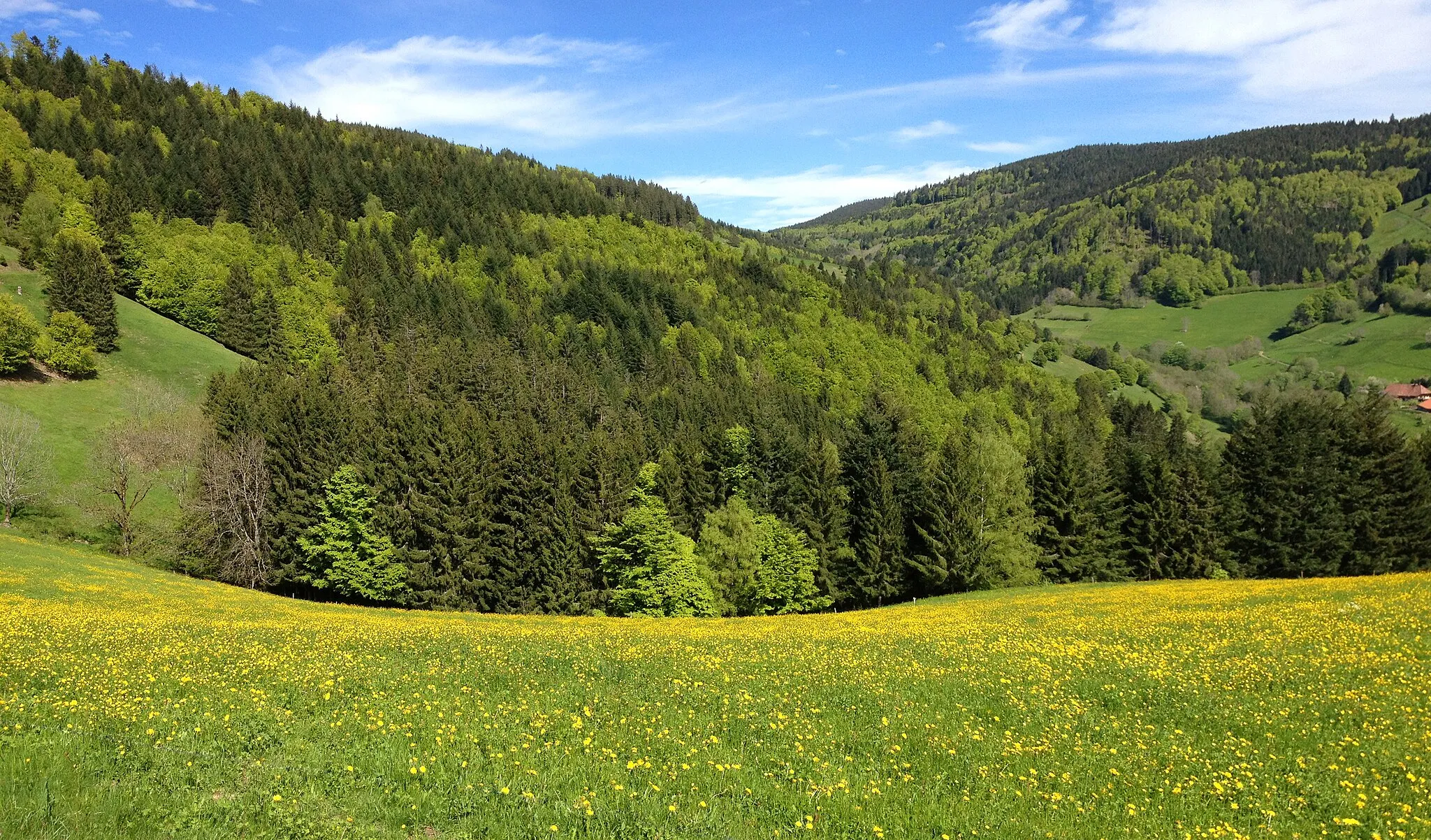 Photo showing: Landschaft bei Herrenschwand