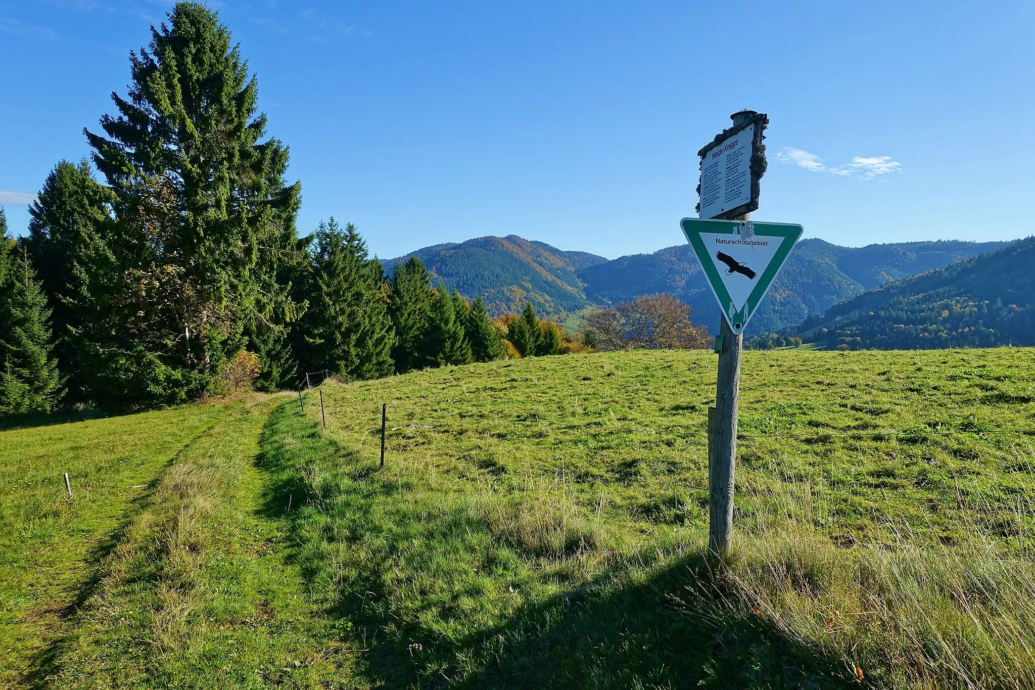 Photo showing: Im Naturschutzgebiet Gletscherkessel Präg