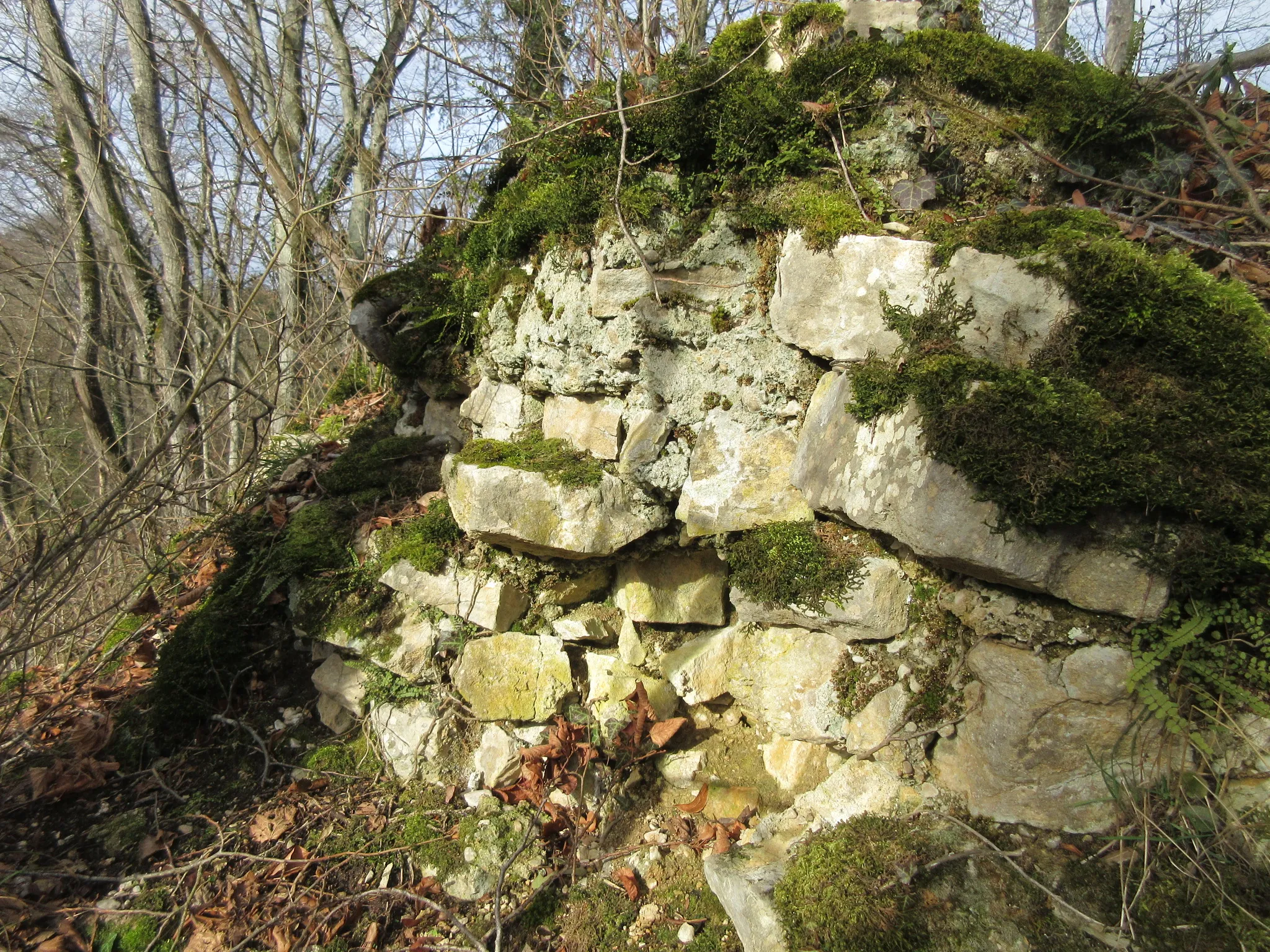 Photo showing: Mauerreste der Ruine Spitzburg bei Ramlinsburg in der Schweiz