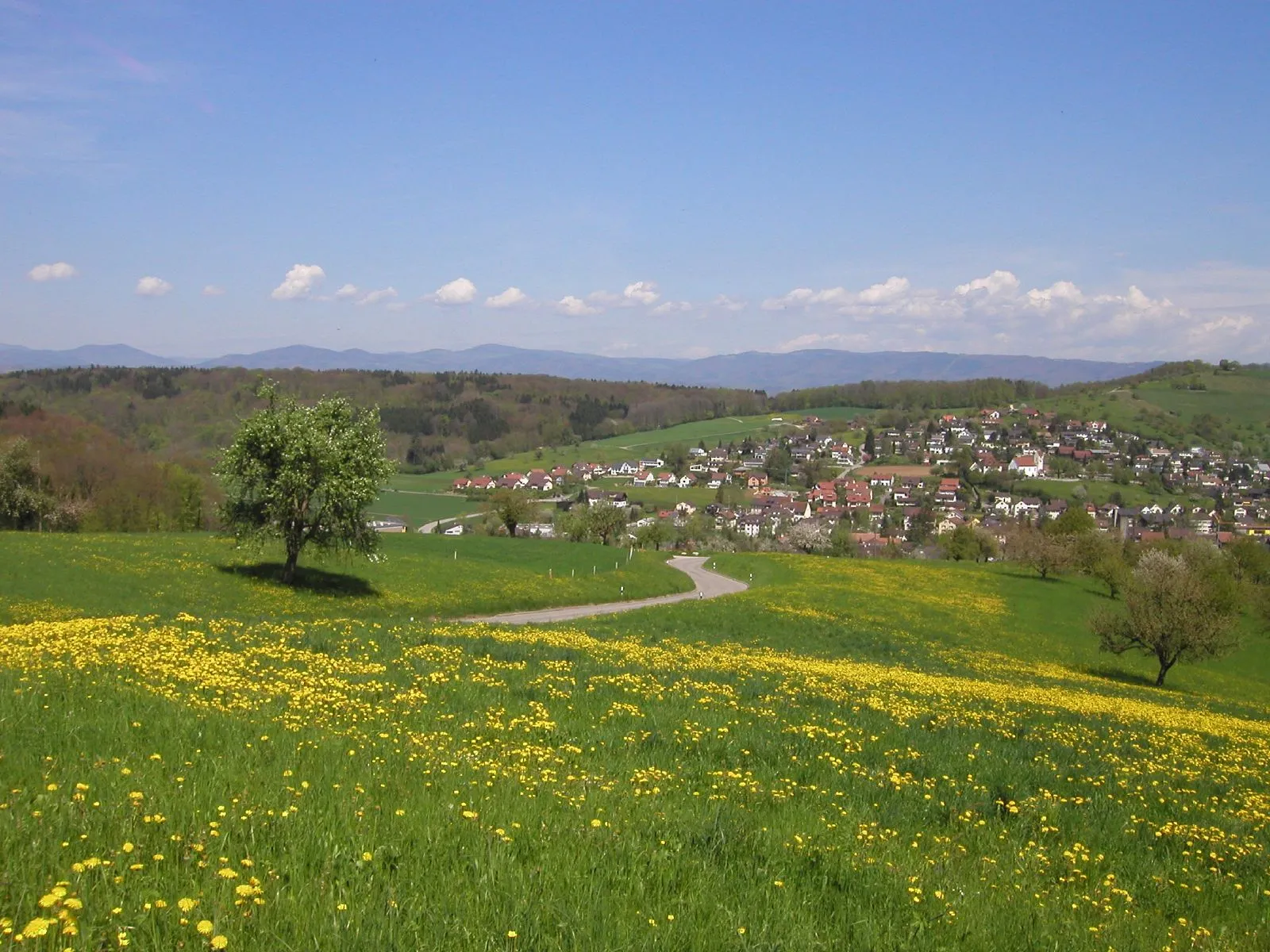 Photo showing: Maisprach, BL, Switzerland in the spring