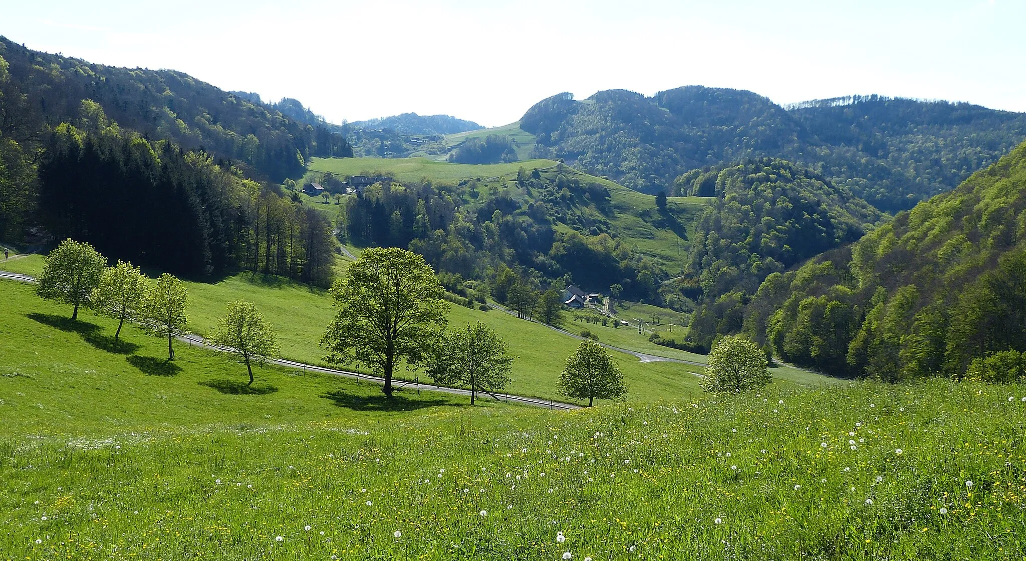 Photo showing: Jurapark Aargau, North of Wasserflue