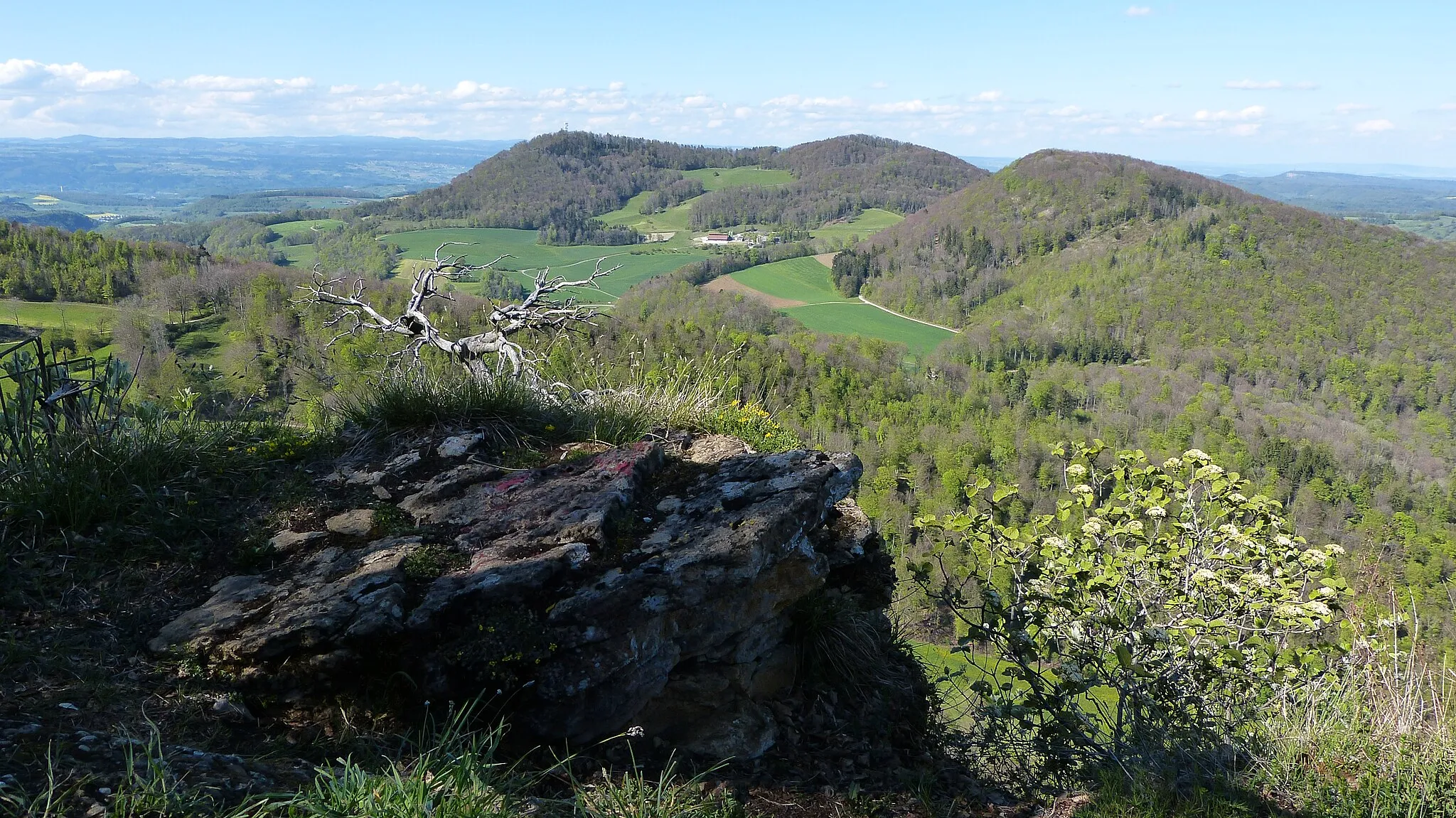 Photo showing: Jurapark Aargau, View North from Wasserflue