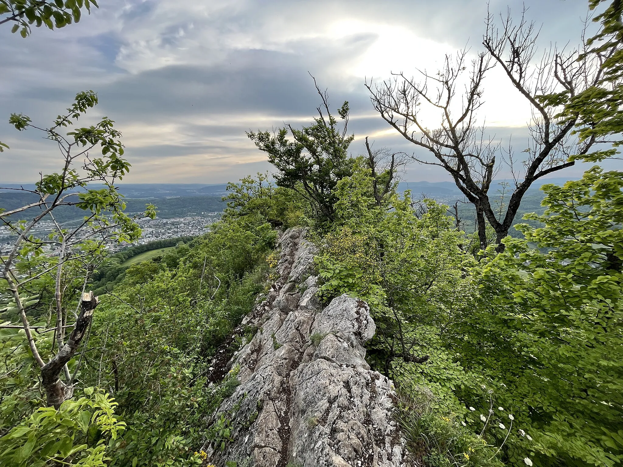 Photo showing: Crest of the Lägern mountain chain near Baden, Switzerland, view to the West