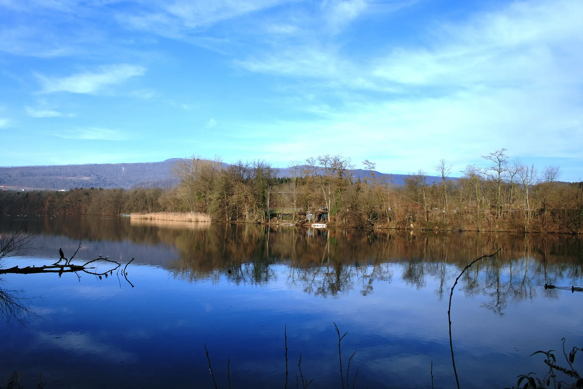 Photo showing: Stausee Wettingen, im Hintergrund die Lägern