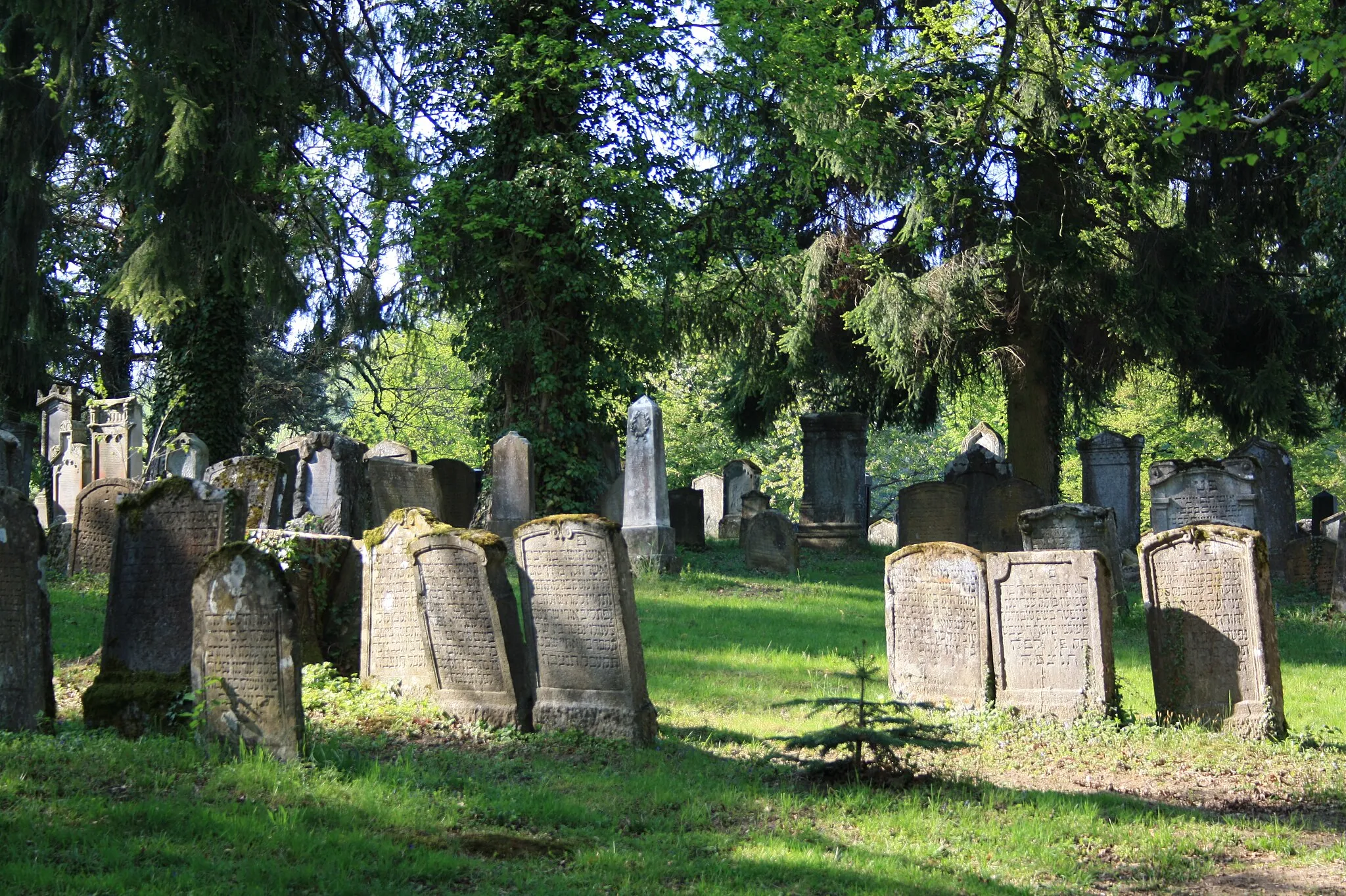 Photo showing: Jüdischer Friedhof Endingen