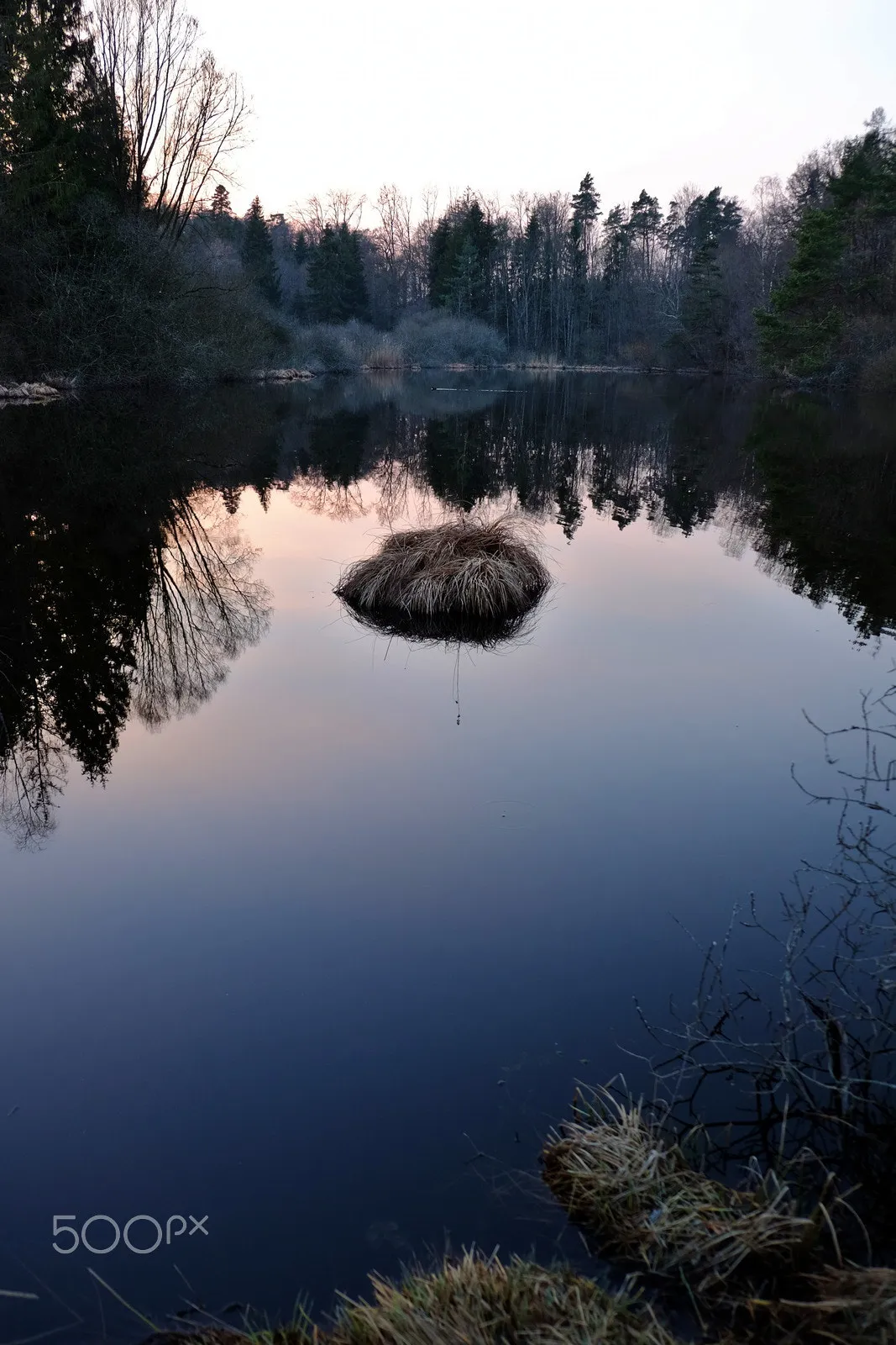 Photo showing: 500px provided description: Blogpost: www.jenseitsderfenster.de/2016/03/20/naturschutzgebiete/ [#Forest ,#Lake ,#Woods ,#Konstanz ,#Reflection ,#Sundown]