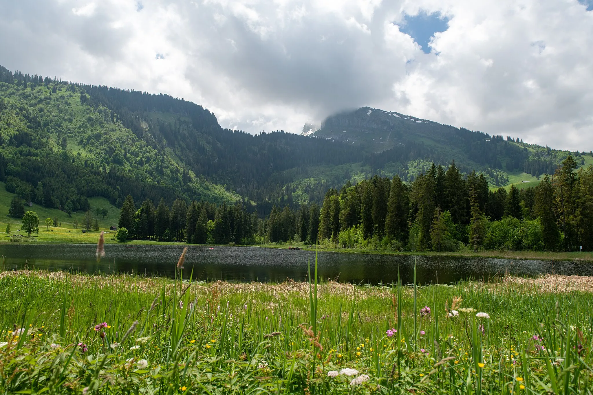 Photo showing: Schwendigsee above Wildhaus