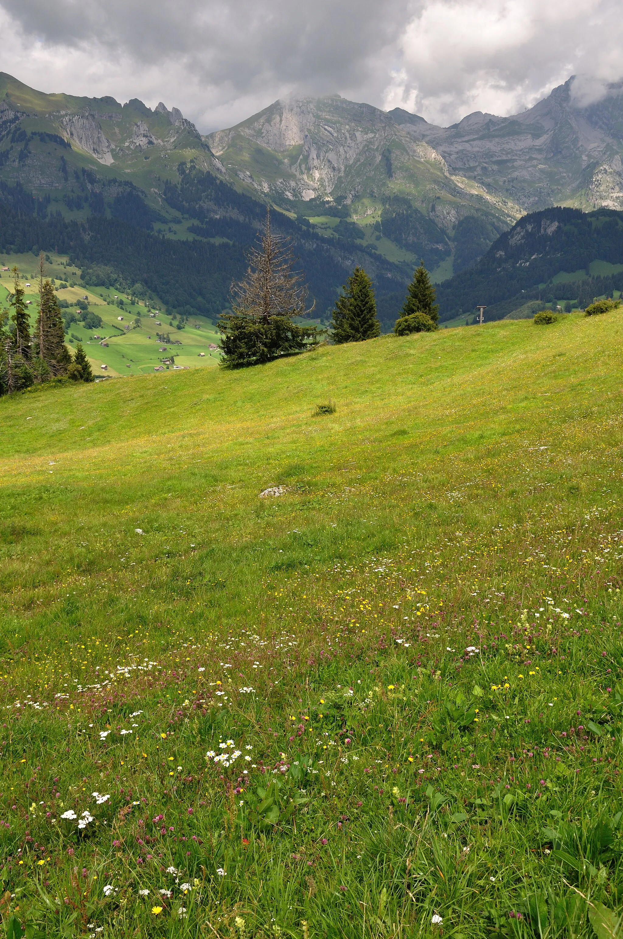 Photo showing: Switzerland, Canton of St. Gallen, hiking from Starkenbach to Iltios