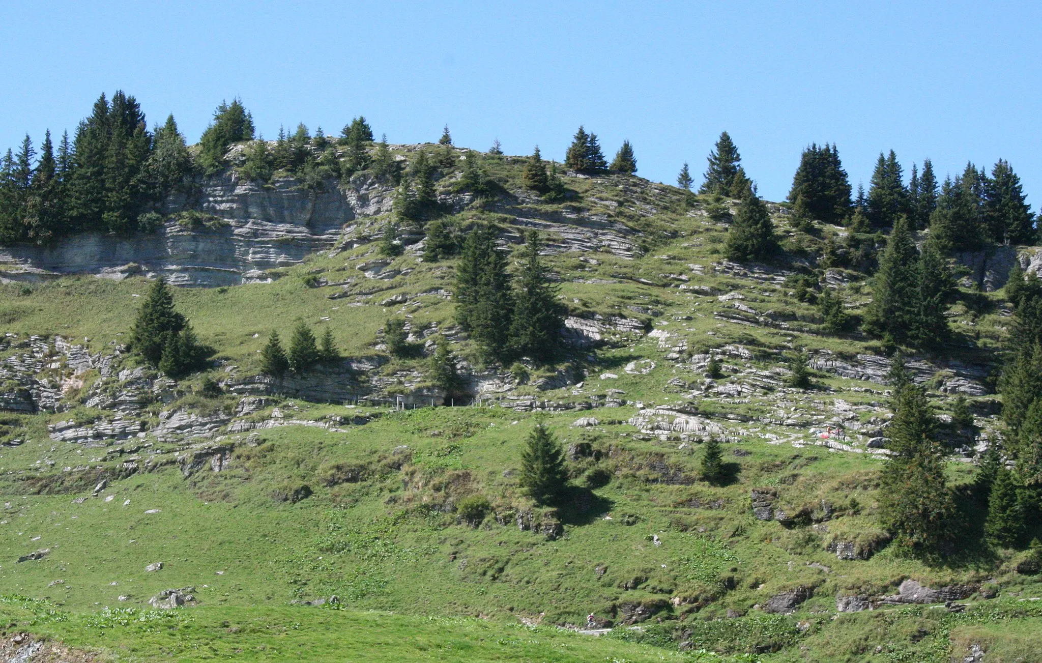 Photo showing: Eingang zum Wildmannlisloch
