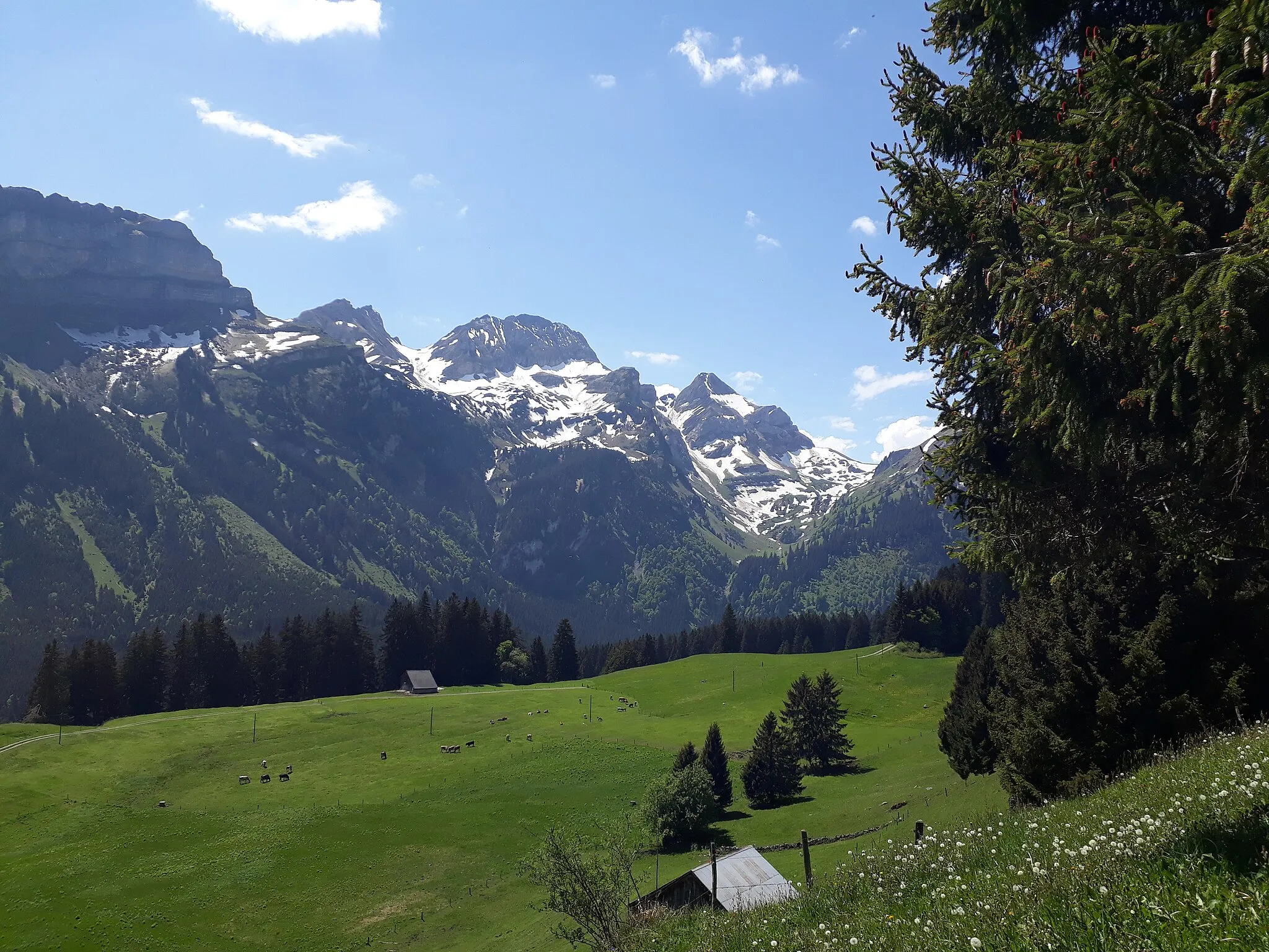 Photo showing: Blick vom Maienberg (Grabserberg) auf Margelkopf, Gamskopf und Sichelchamm (von links nach rechts)