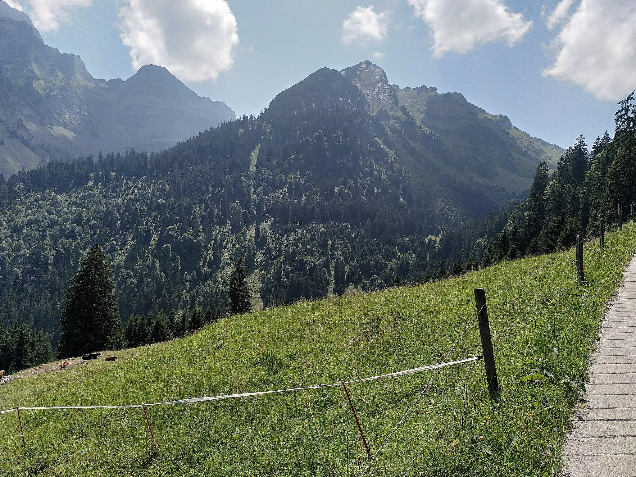 Photo showing: Picture of the moutain south-west of the Voralpsee.