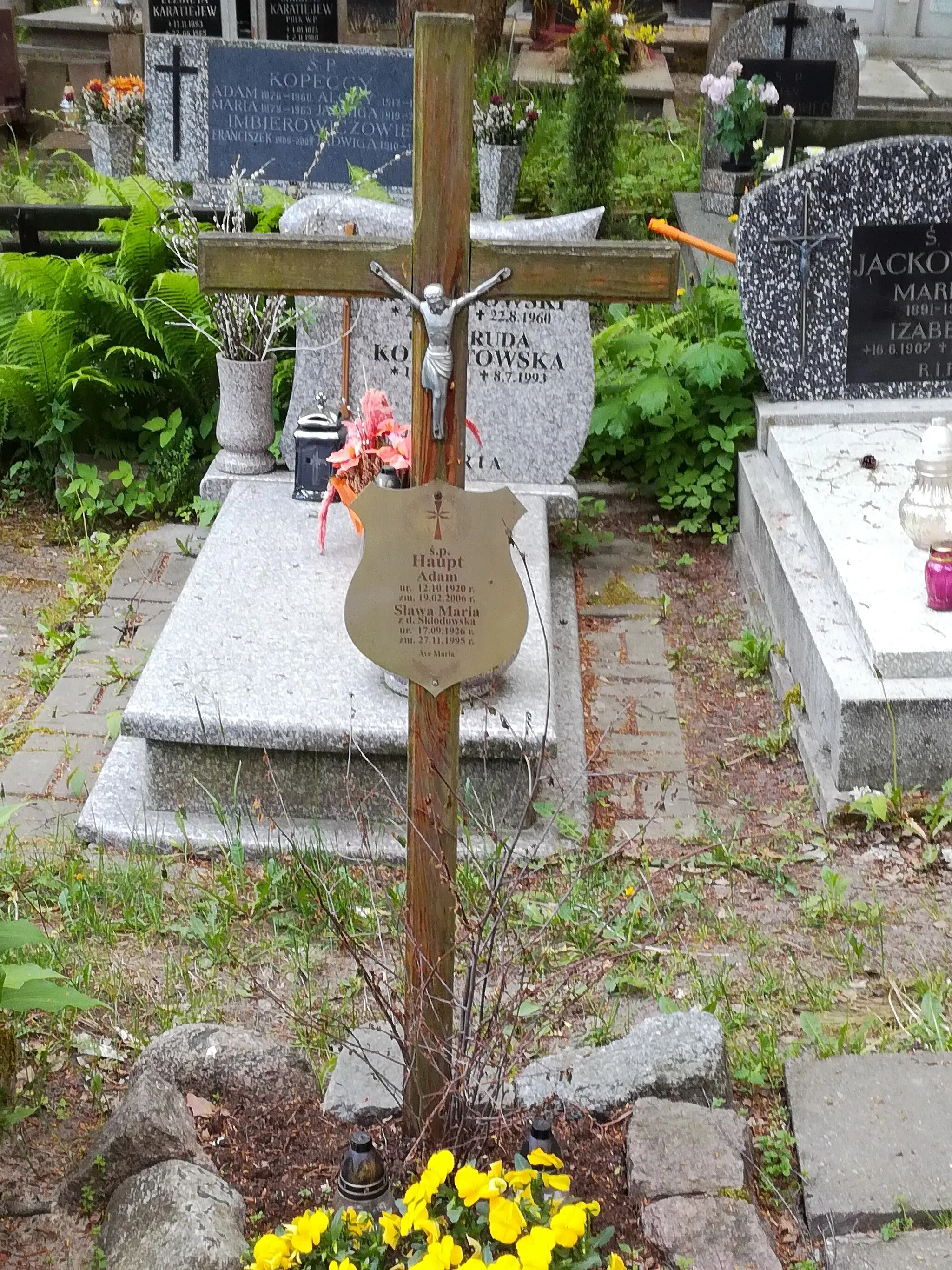 Photo showing: Grób Adama Haupta na Cmentarzu katolickim w Sopocie