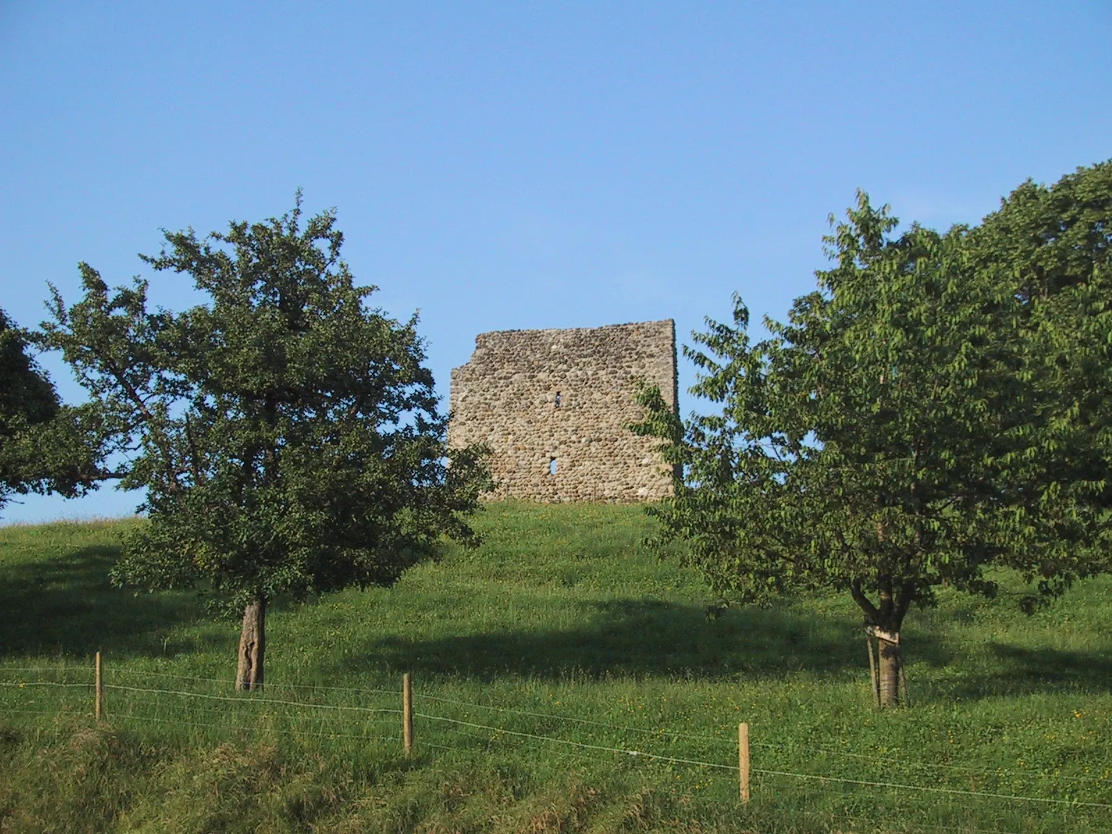 Photo showing: Ruine Anwil in Buhwil TG.