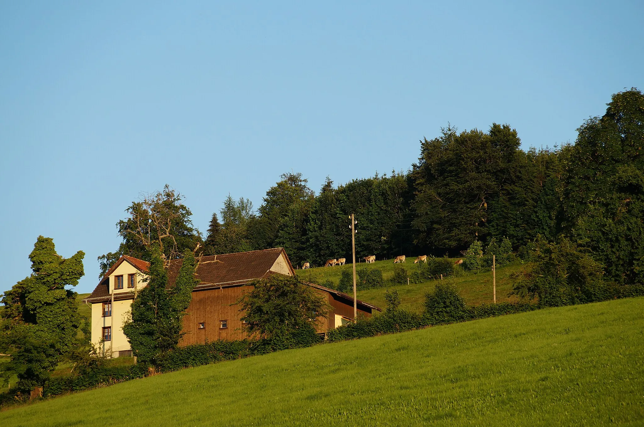 Photo showing: Farm house close to Notkersegg, St. Gallen