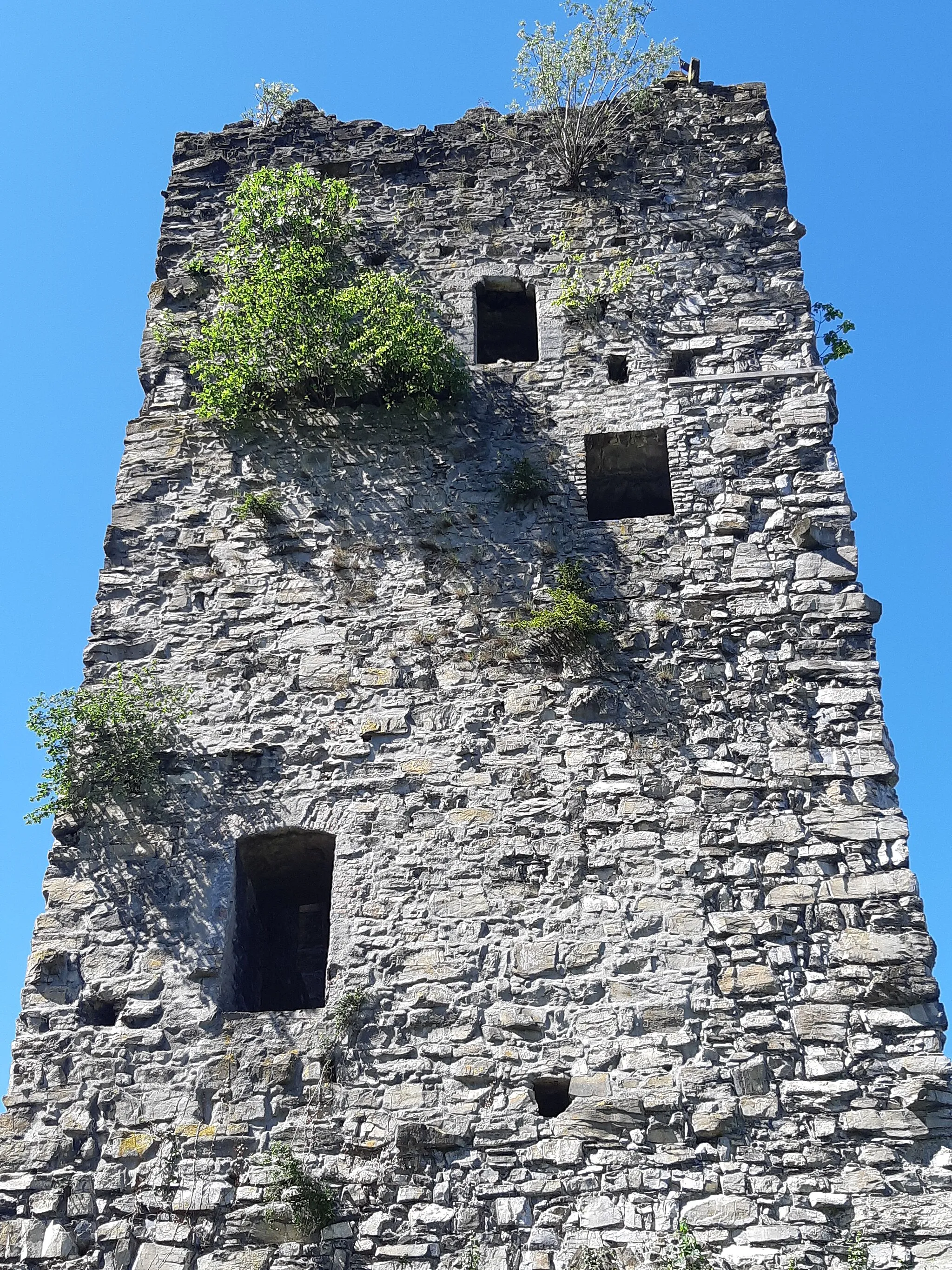 Photo showing: Neu-Montfort ruins (castle) in Götzis, Vorarlberg, Austria.
