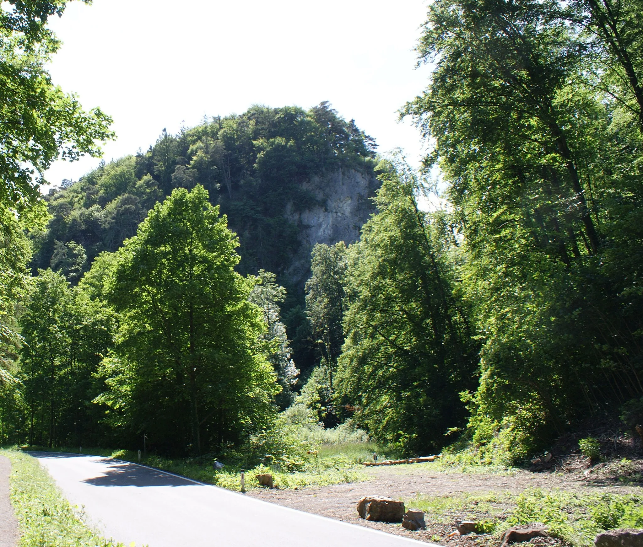 Photo showing: Therenberg (also: Terrenberg) in the community of Götzis, Vorarlberg, Austria.