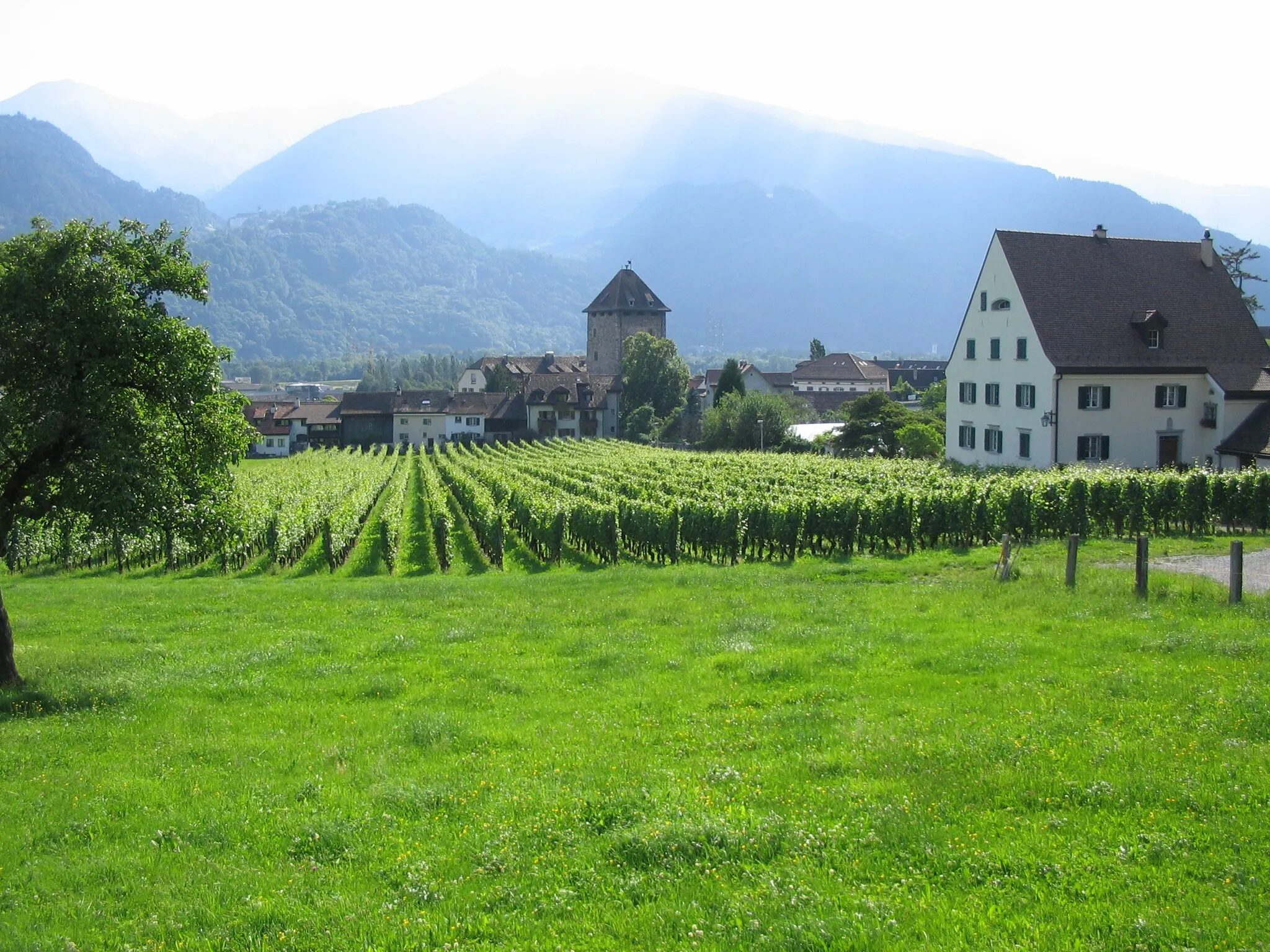 Photo showing: Maienfeld, GR, Switzerland.  Schloss Brandis and vineyard
