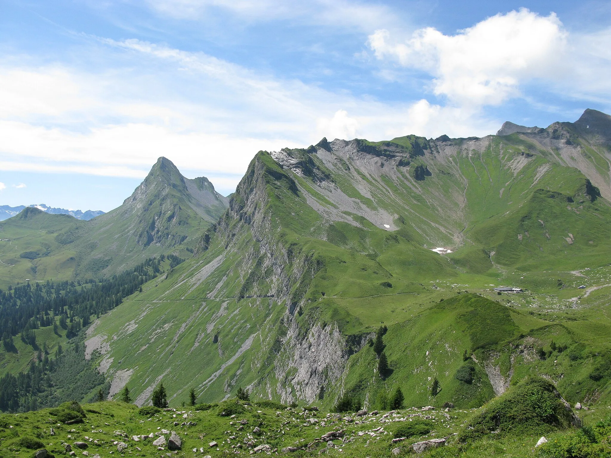 Photo showing: Maienfelder Alp Ijes