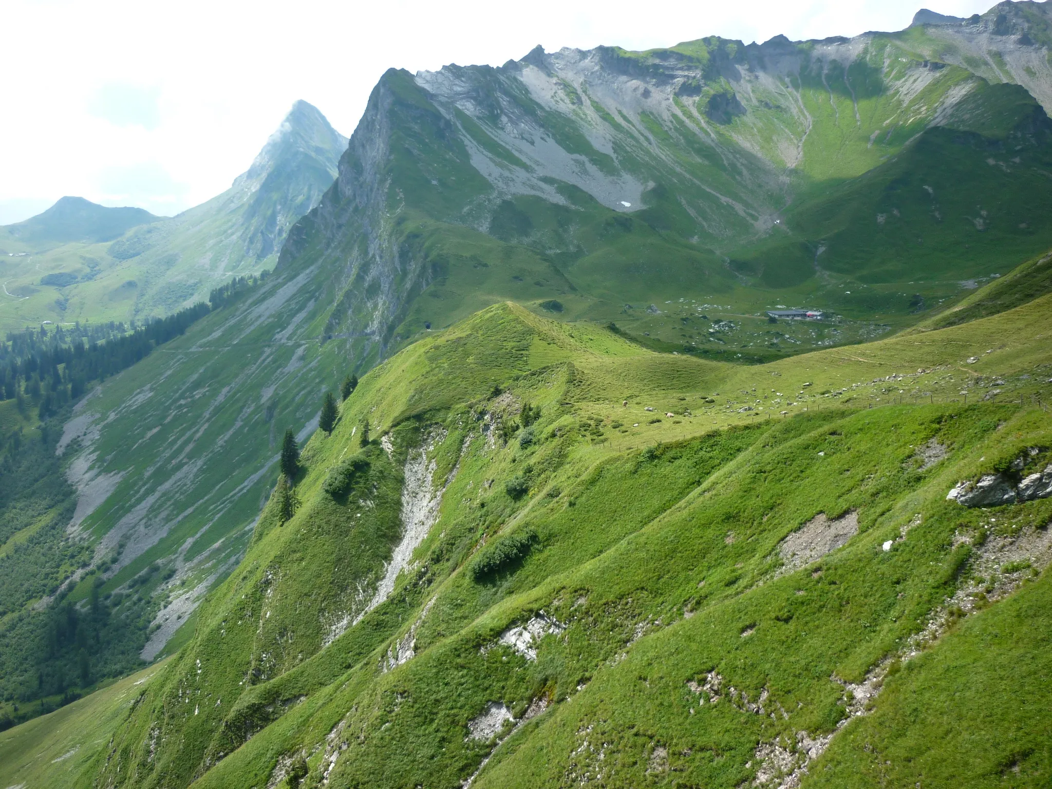 Photo showing: Alp Ijes, Maienfeld GR, Schweiz