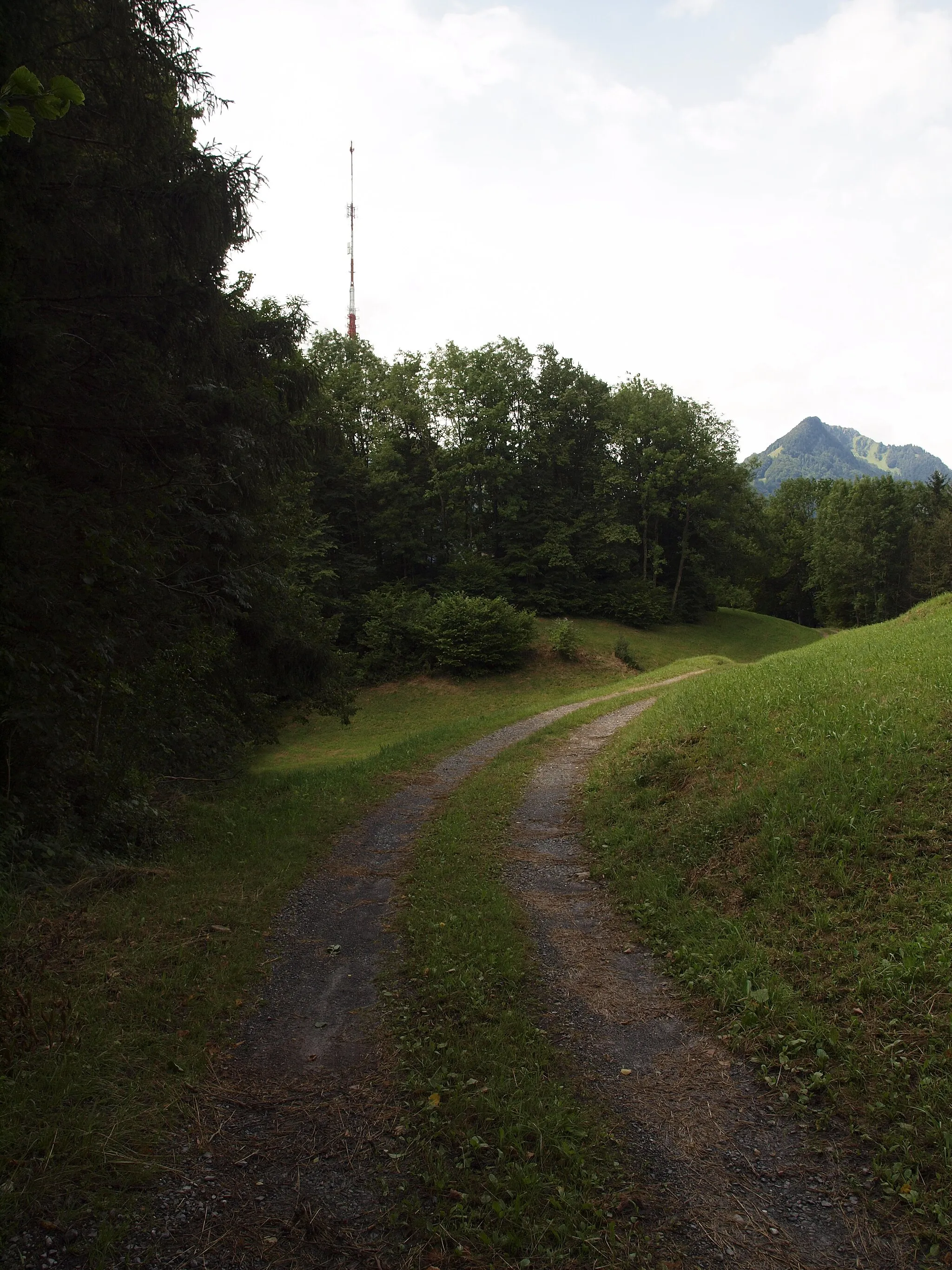 Photo showing: Die Ruine des Römischen Wachturms, mit der Schutzestelleung aus dem i. WK. auf dem Biberlichopf  (Gemeinde Schänis