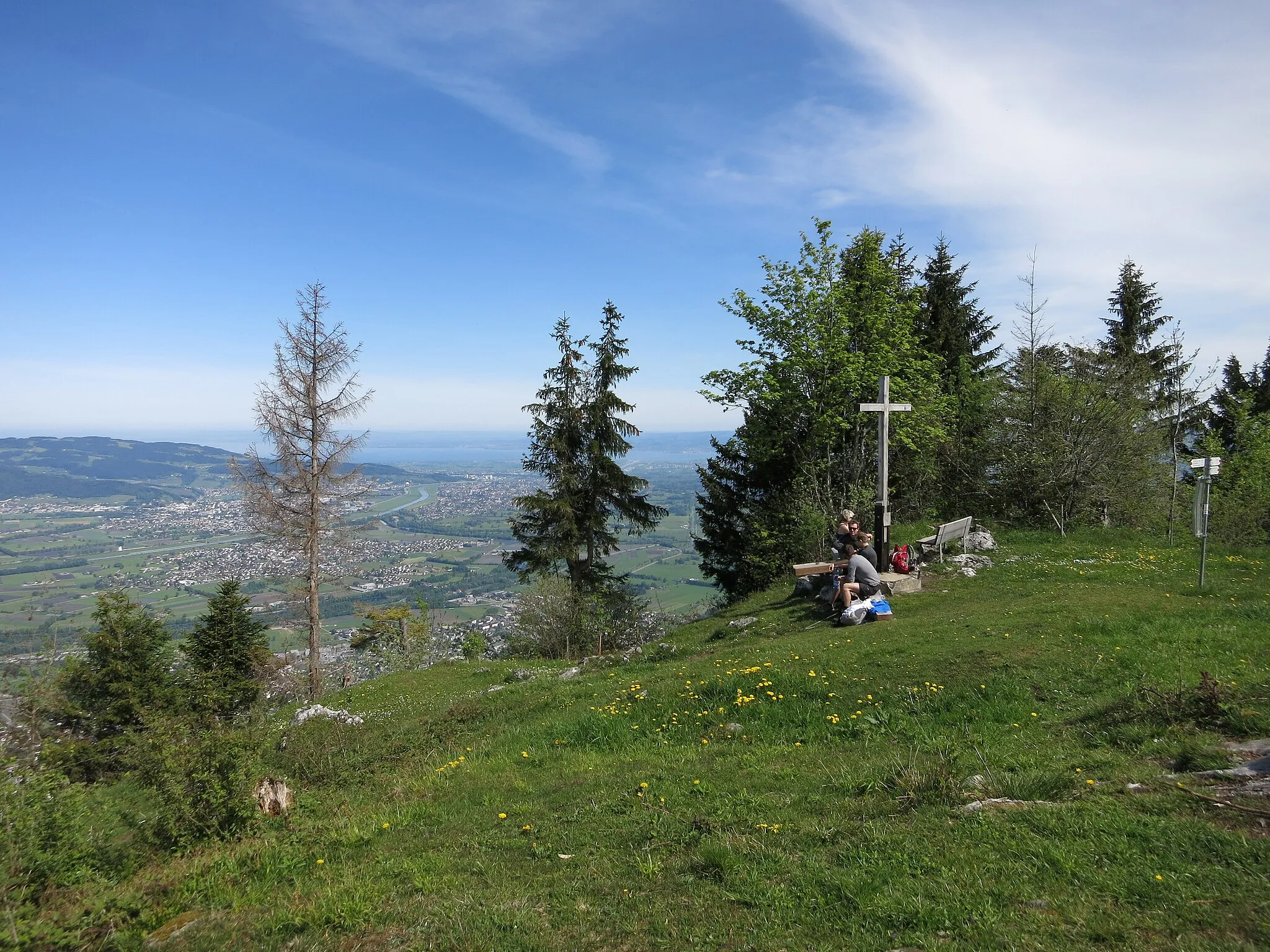 Photo showing: On top of mountain Kapf, Bregenzerwald, Austria