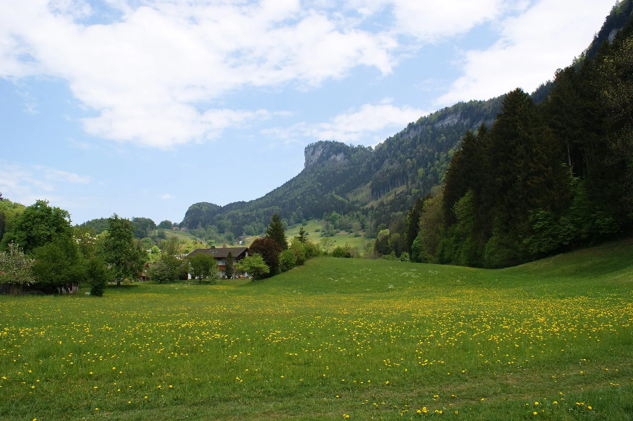 Photo showing: Kapf (mountain) from the Berg district in Götzis, Vorarlberg, Austria.