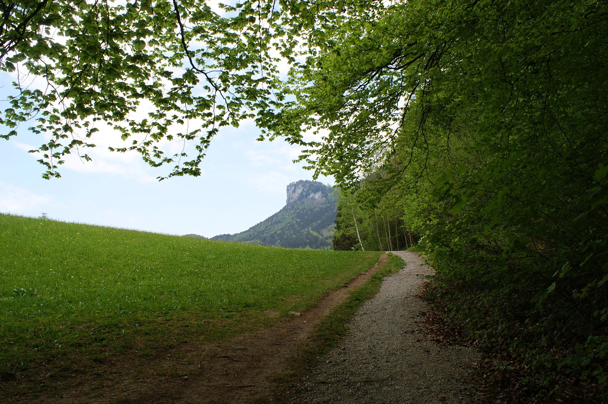 Photo showing: Kapf (mountain) from the Berg district in Götzis, Vorarlberg, Austria.