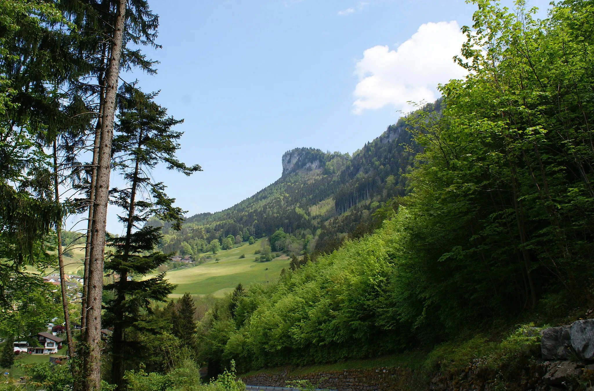 Photo showing: Kapf (mountain) from the Berg district in Götzis, Vorarlberg, Austria.