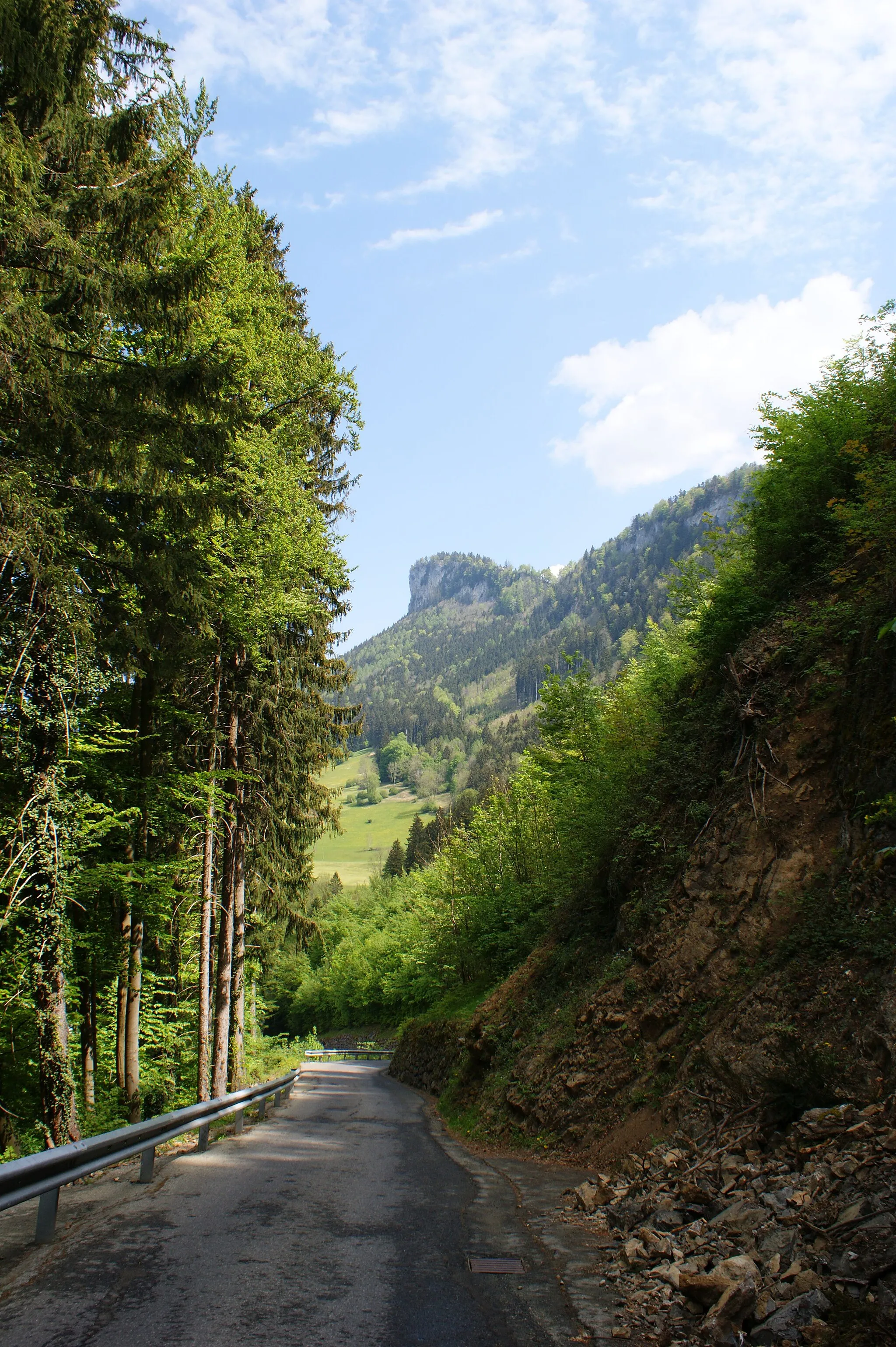 Photo showing: Kapf (mountain) from the Berg district in Götzis, Vorarlberg, Austria.