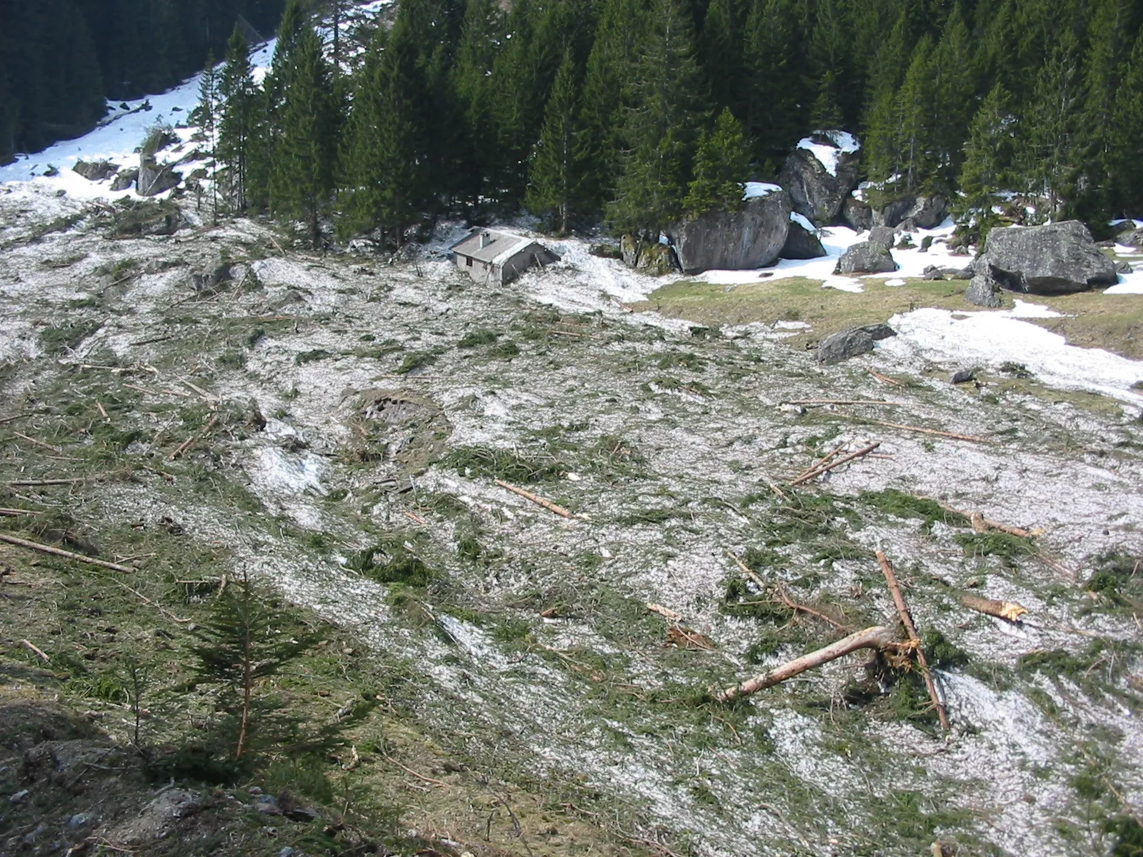 Photo showing: Avalanche above Engi, Switzerland