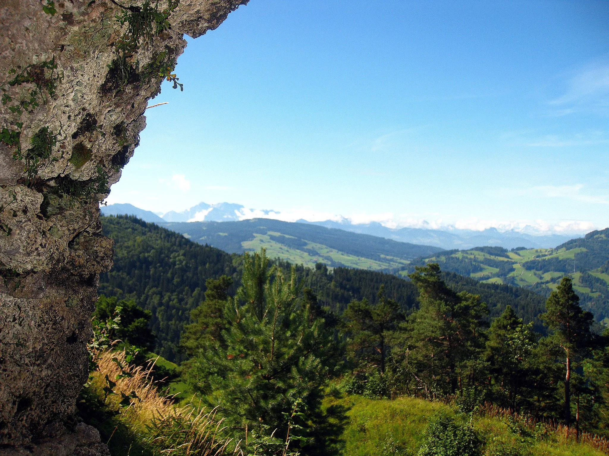 Photo showing: View from the ruin Neutoggenburg to the alps of Berne