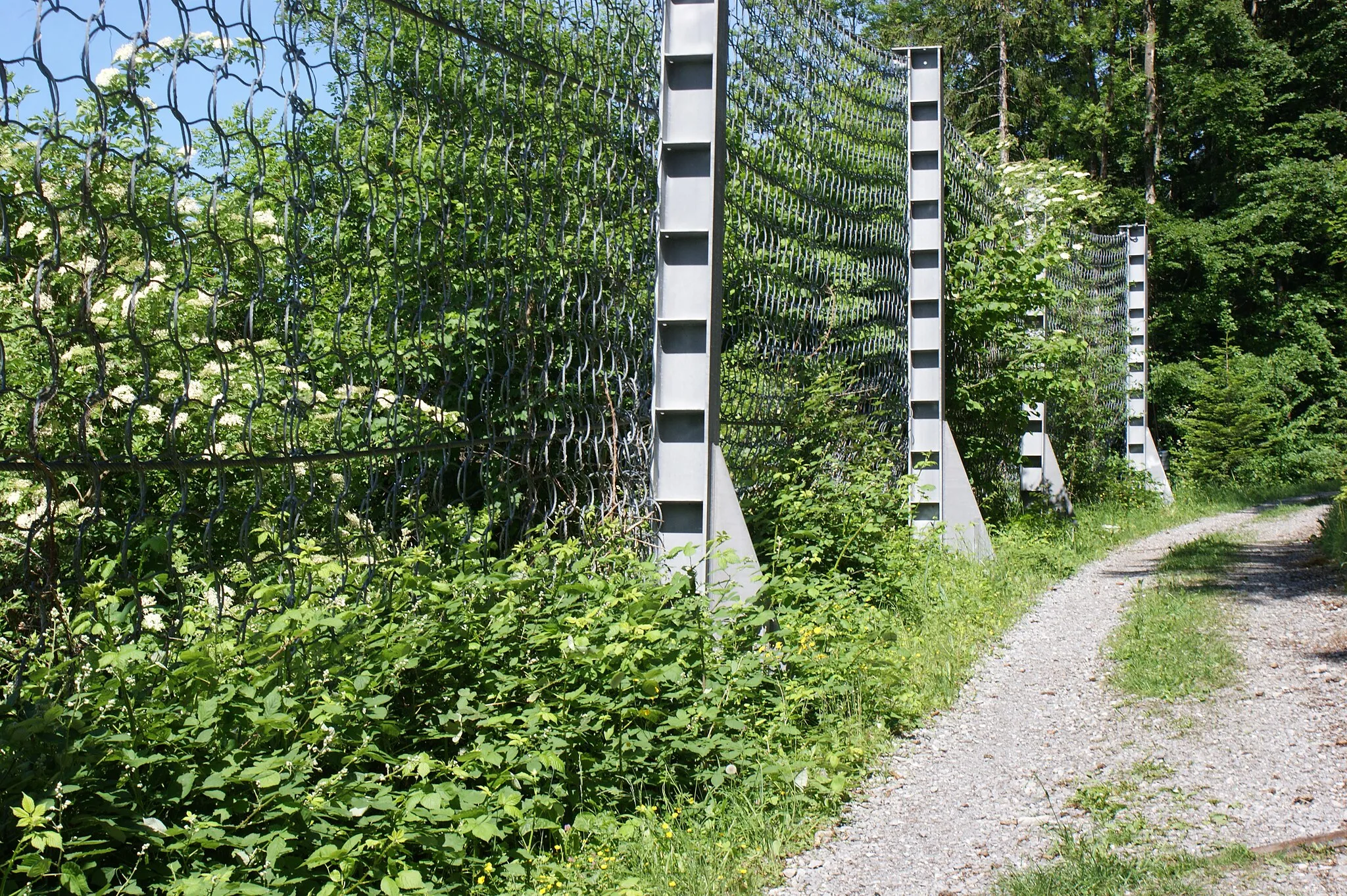 Photo showing: Balittaweg - rockfall catchment fence in Götzis, Vorarlberg, Austria.