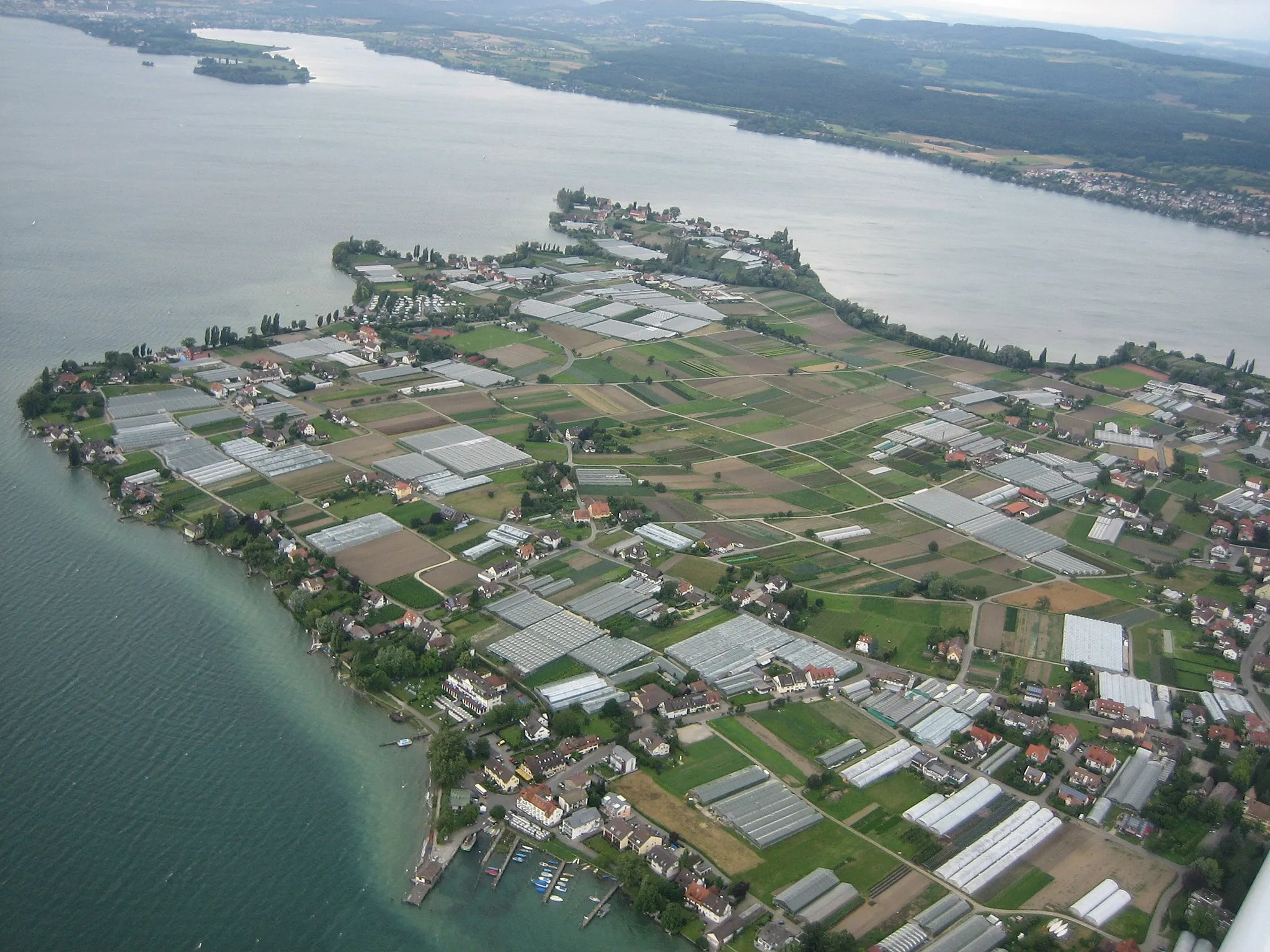 Photo showing: Aerial view of Reichenau Island