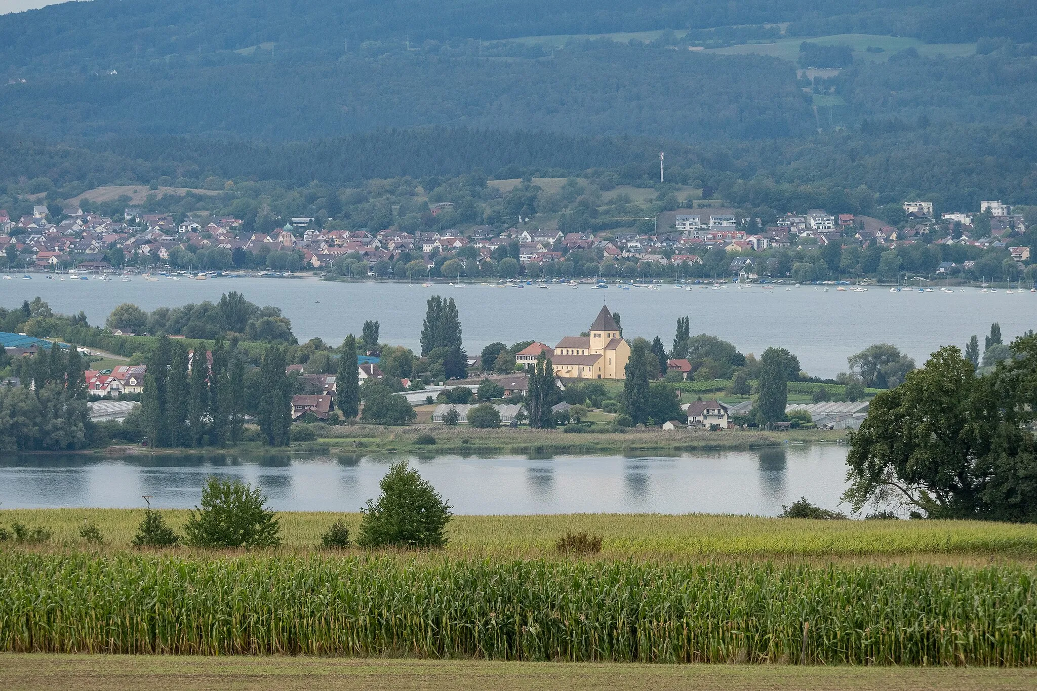Photo showing: Blick vom Seerücken bei Ermatingen zur Reichenau und auf Allensbach