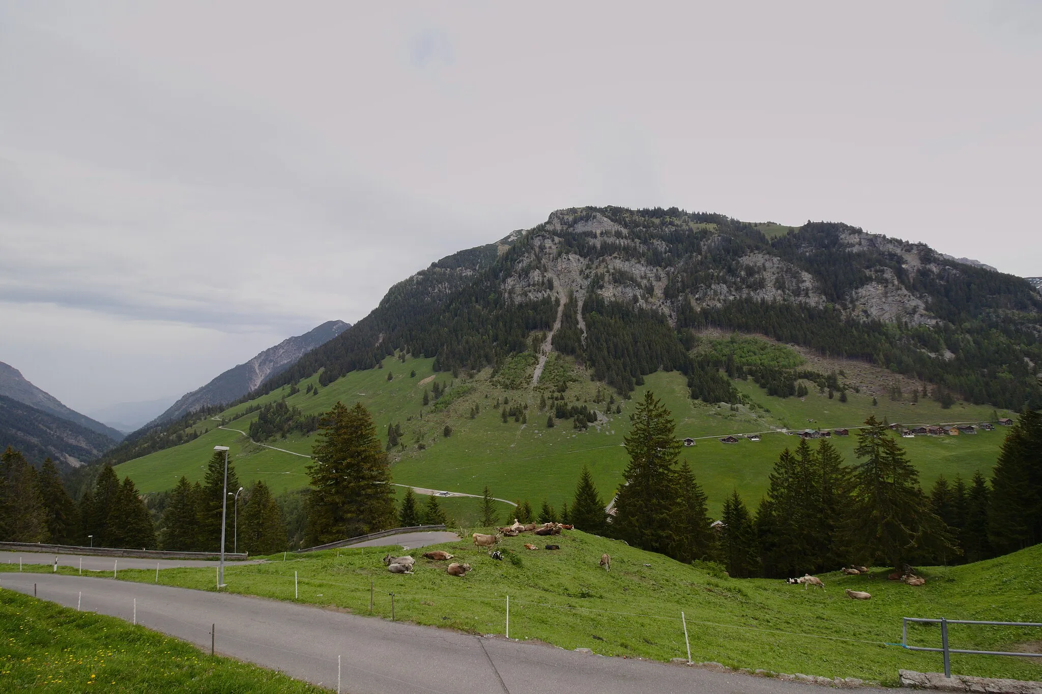 Photo showing: Grosssteg. View from Sückastrasse. In the foreground cows. Sücka, Triesenberg, Liechtenstein