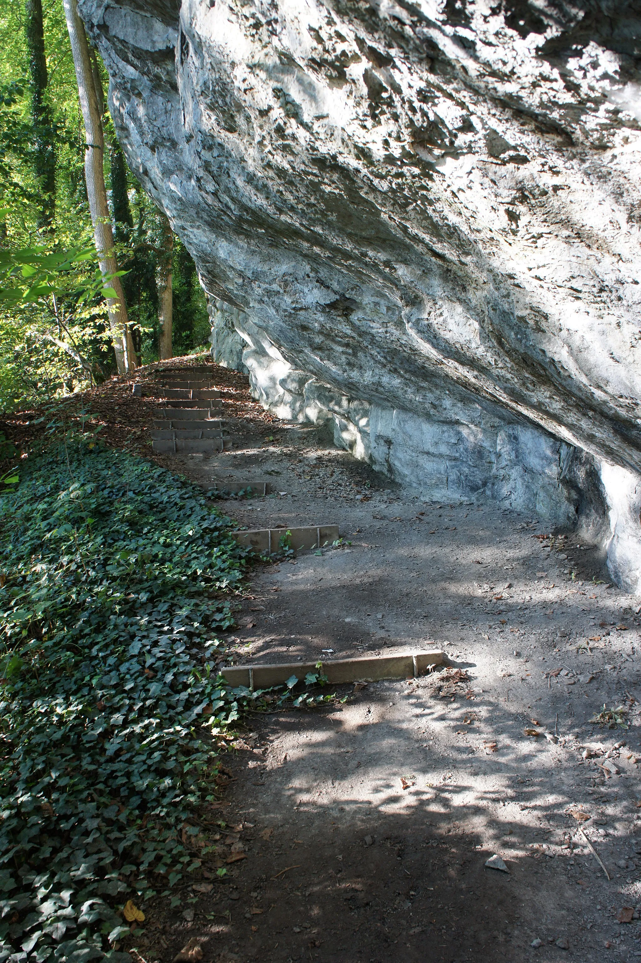 Photo showing: Der heutige Aufstieg zur Ruine Wichenstein.