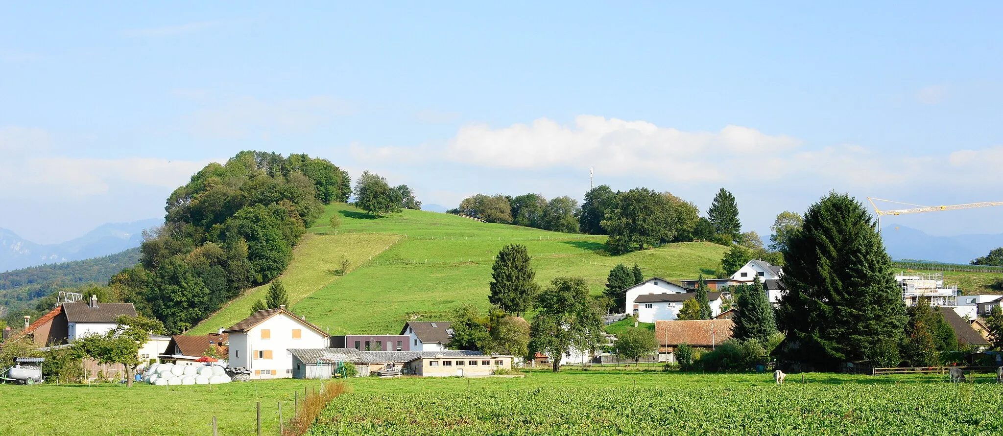 Photo showing: Montlingerberg, Blick auf die sanft ansteigende Westflanke, im Vordergrund der Ortsteil Hinterburg, Dorf Montlingen (rechts hinter dem Hügel), politische Gemeinde Oberriet SG