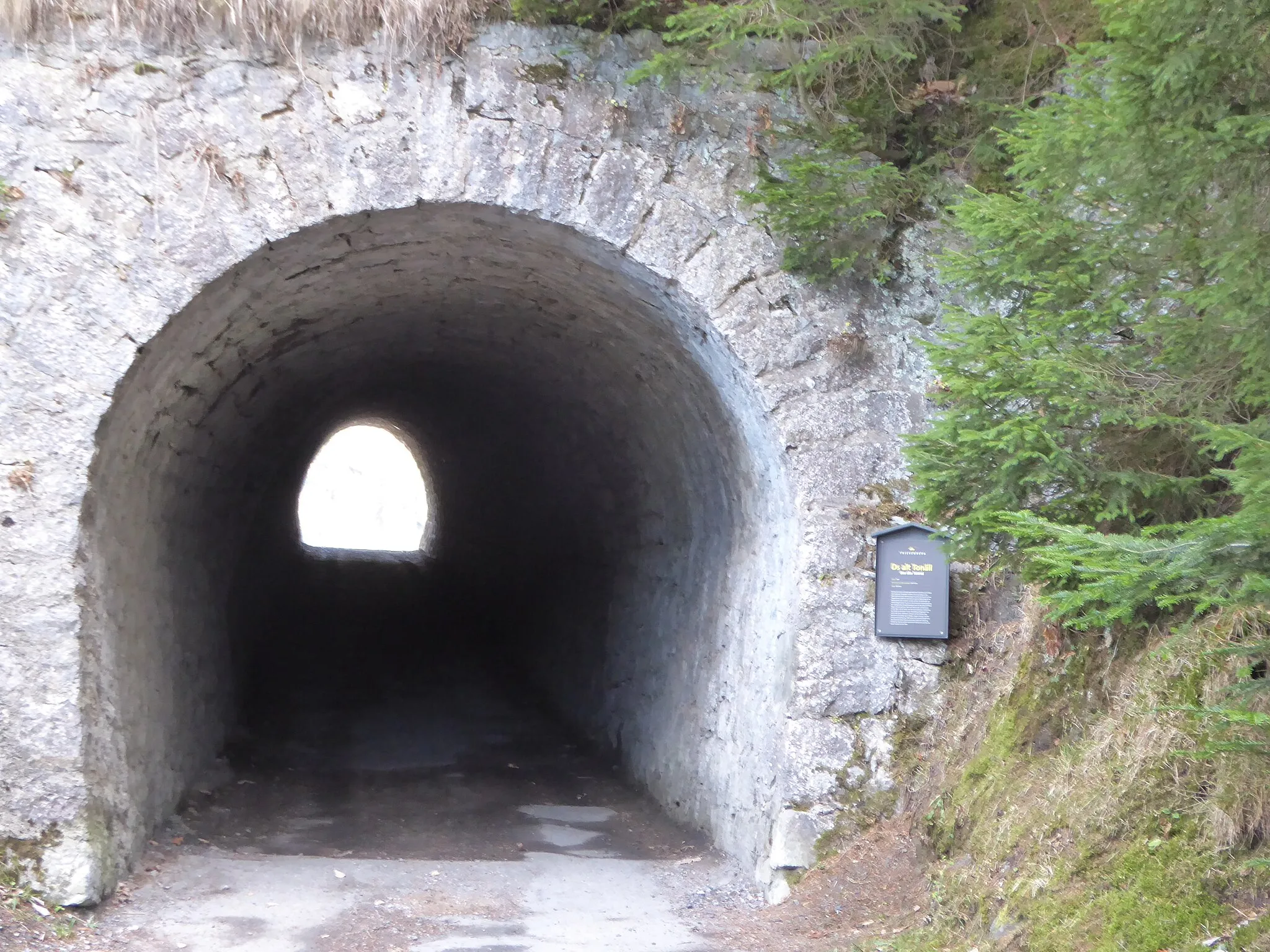 Photo showing: Blick in alten Tunnel bei Kulm FL aus Westen