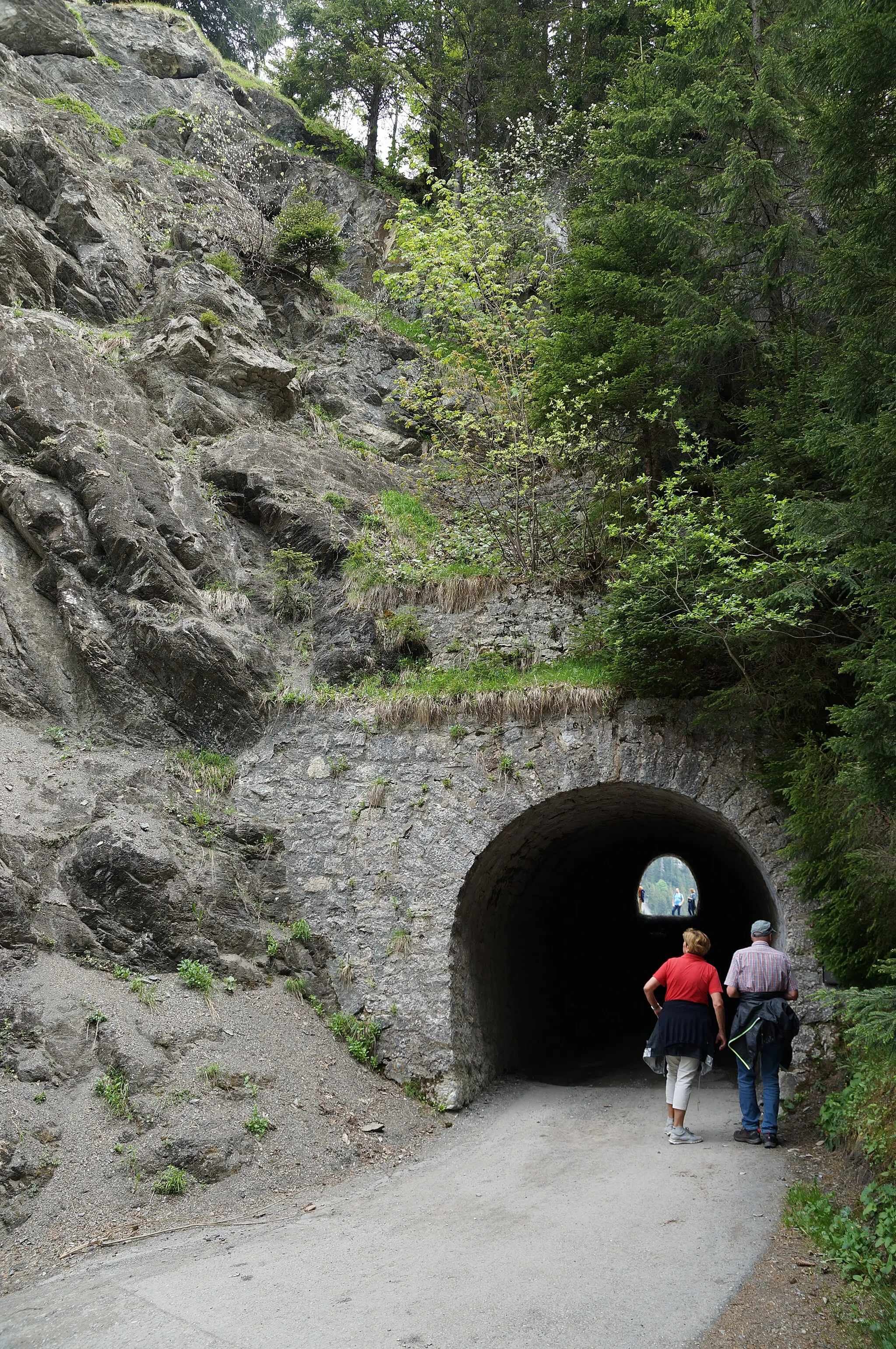 Photo showing: Westliches Tunnelportal mit der darüberliegenden Felswand