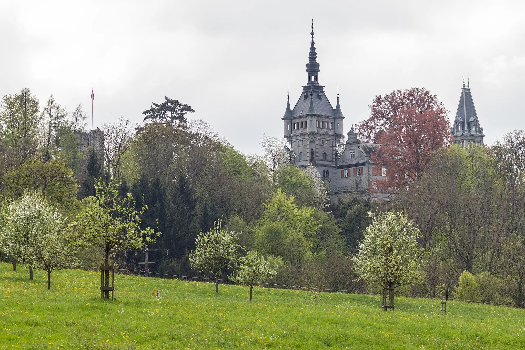 Photo showing: Burg(ruine) und Schloss Castell in Tägerwilen TG (2013)