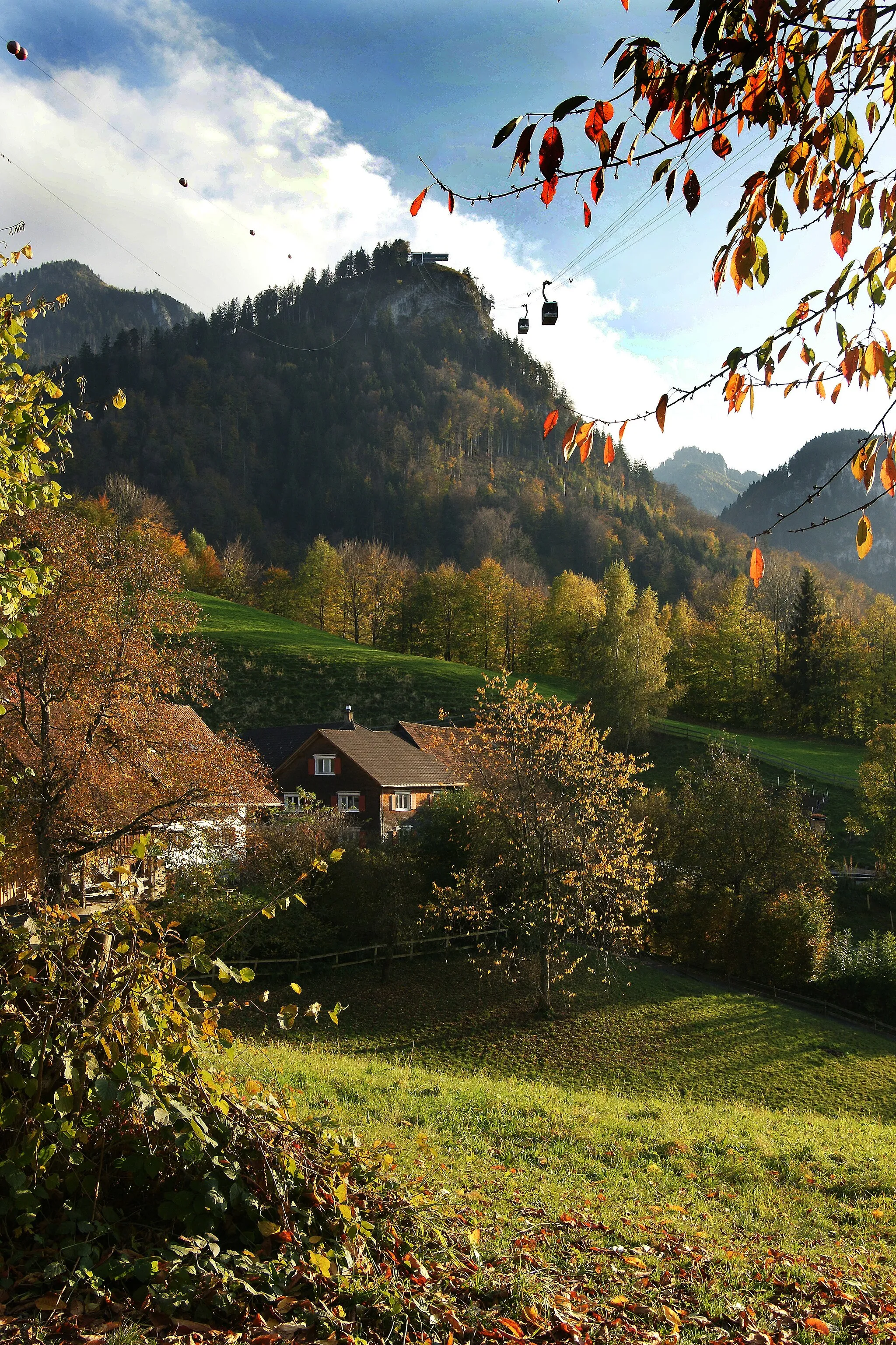 Photo showing: die Parzelle Bürgle mit Blick auf den Karren (Berg).