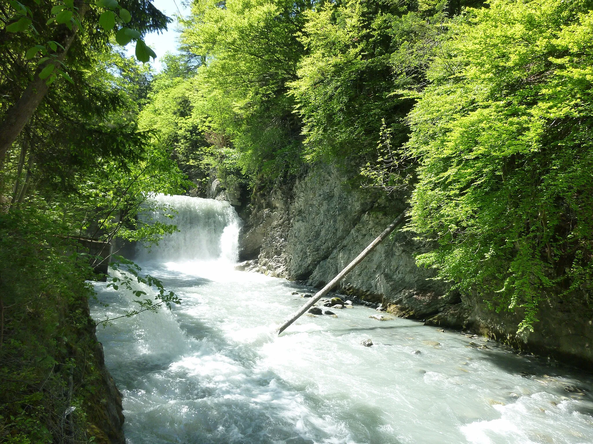 Photo showing: de:Plessur unterhalb von Araschgen