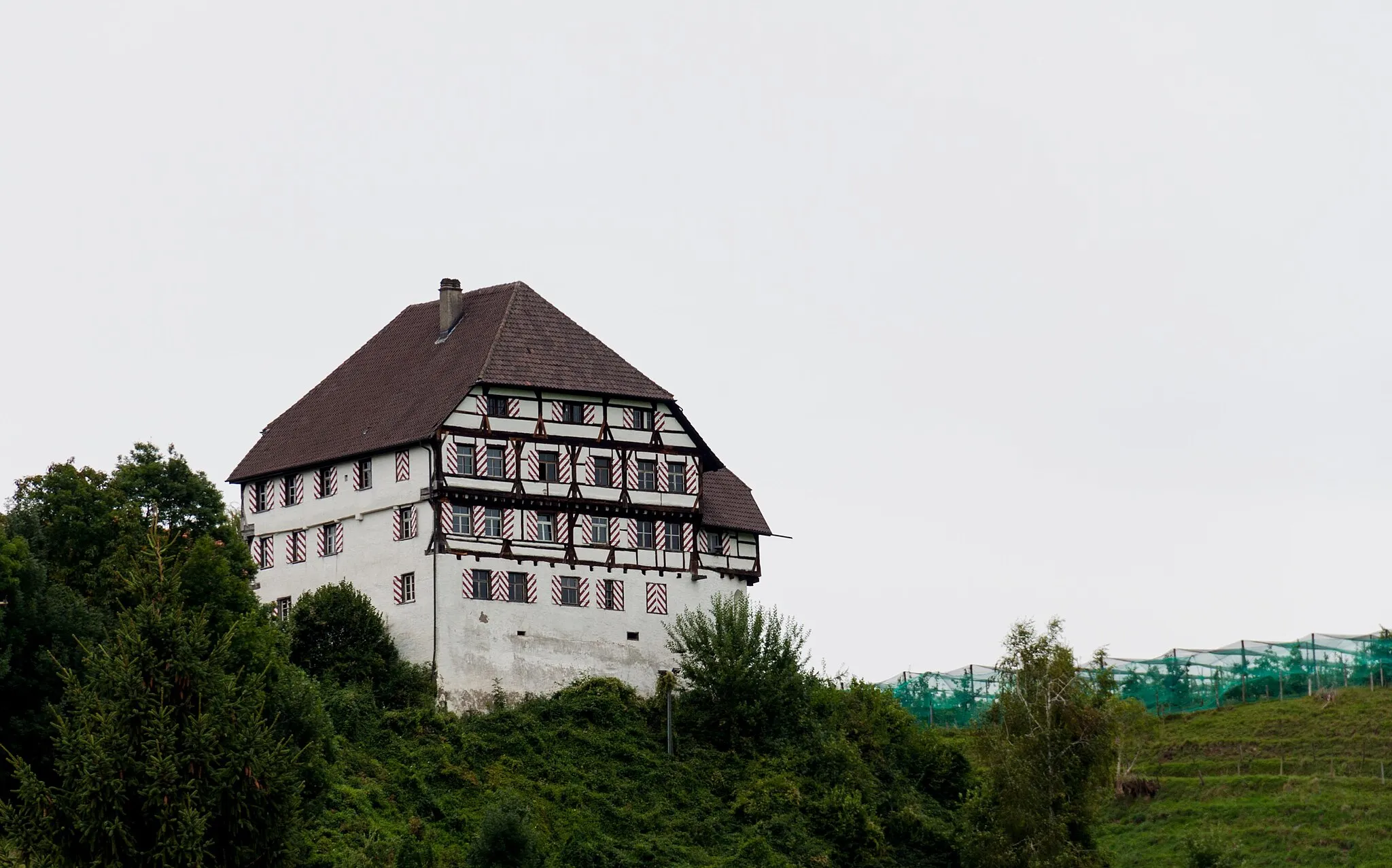 Photo showing: Schloss Zuckenriet, Niederhelfenschwil 
KGS-Nr: 8206