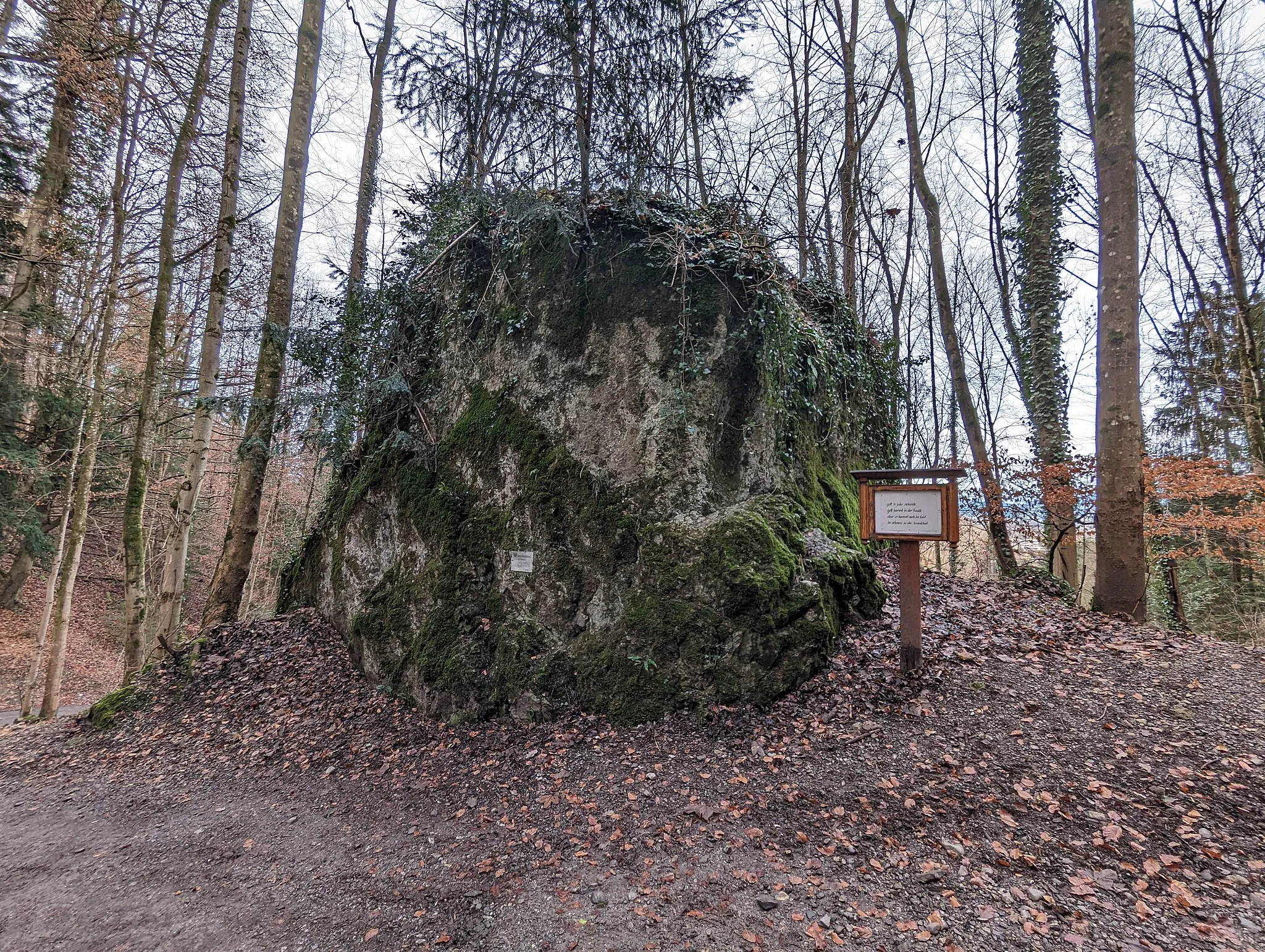 Photo showing: Naturdenkmal Nellenbürgle