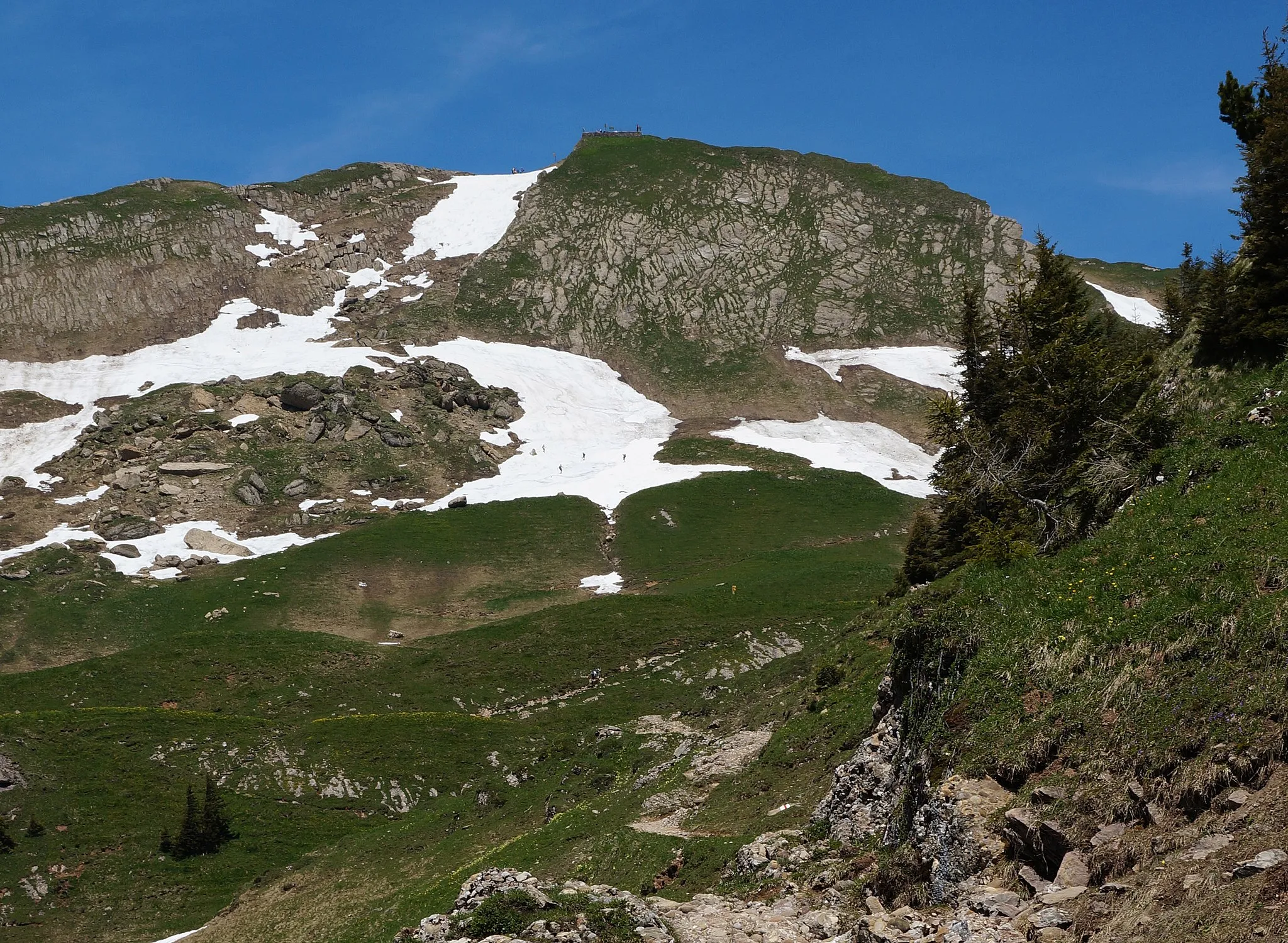 Photo showing: Gipfel des Speer von Oberkäseren