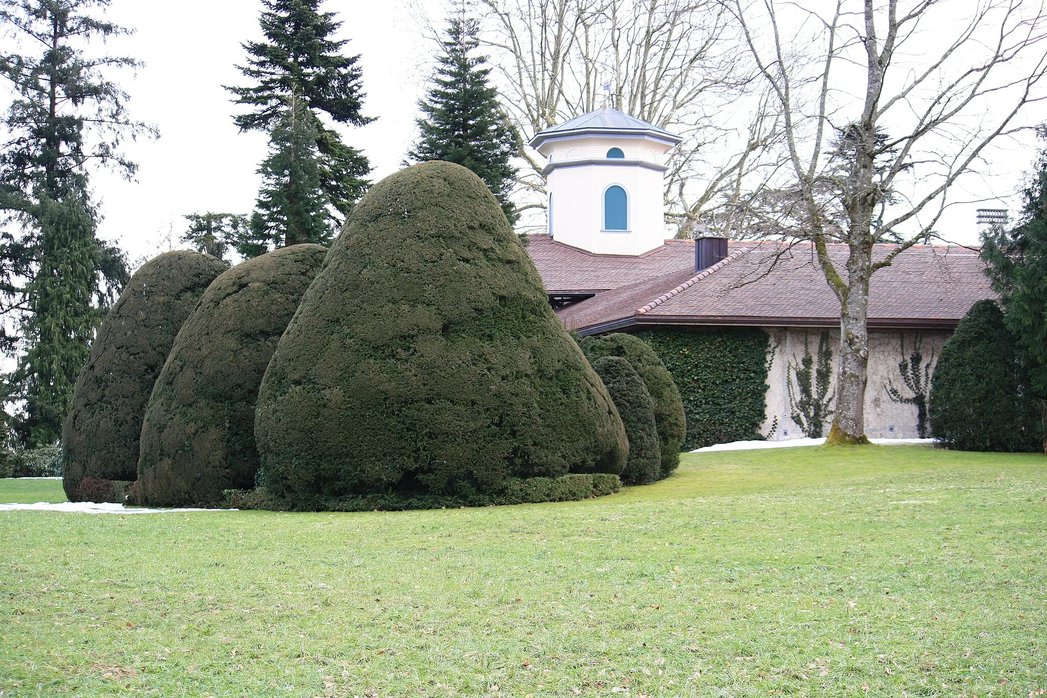 Photo showing: Meienberg nearby Rapperswil respectively Jona (Switzerland)