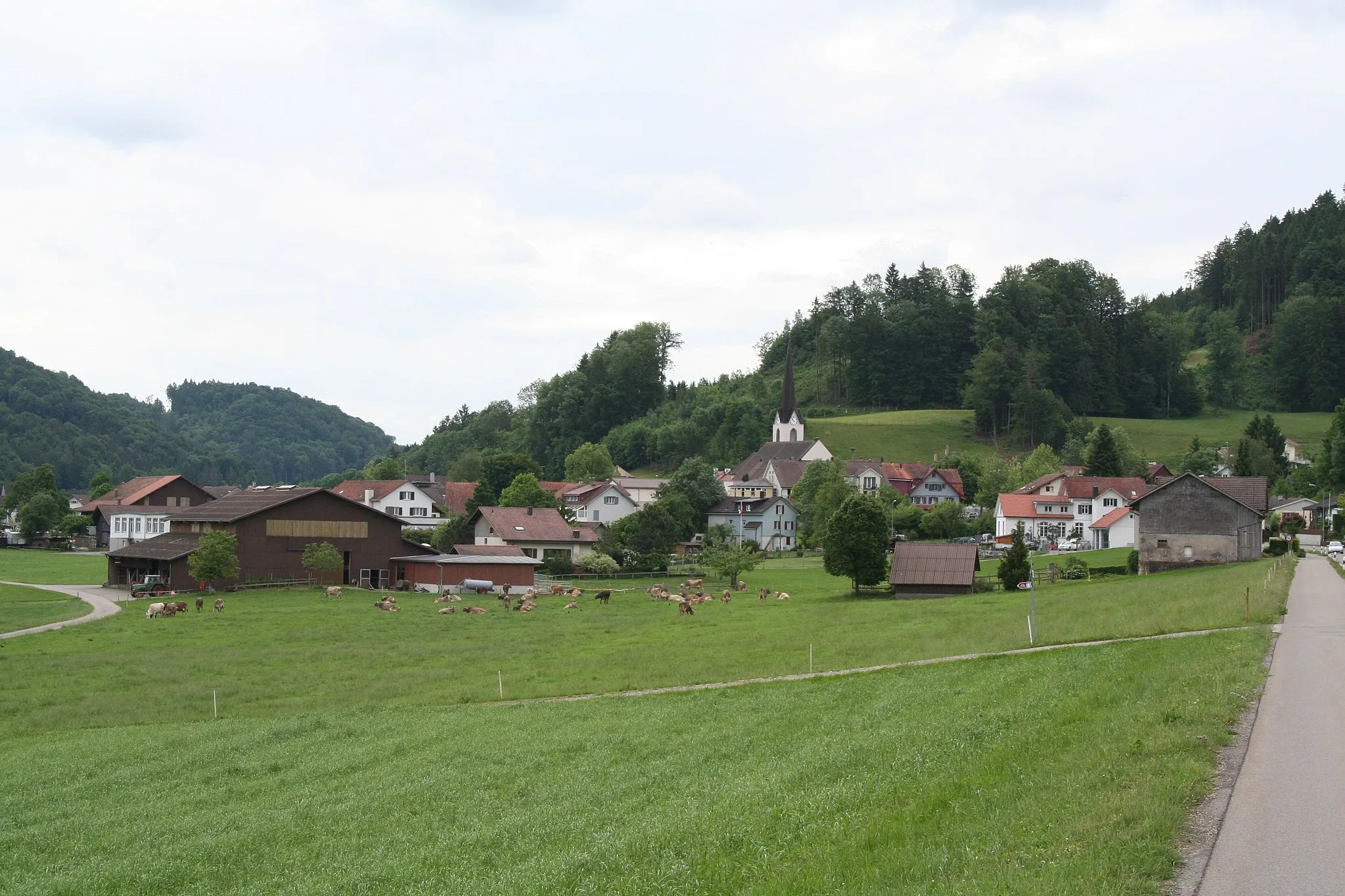 Photo showing: Burghügel der  Burg Bichelsee