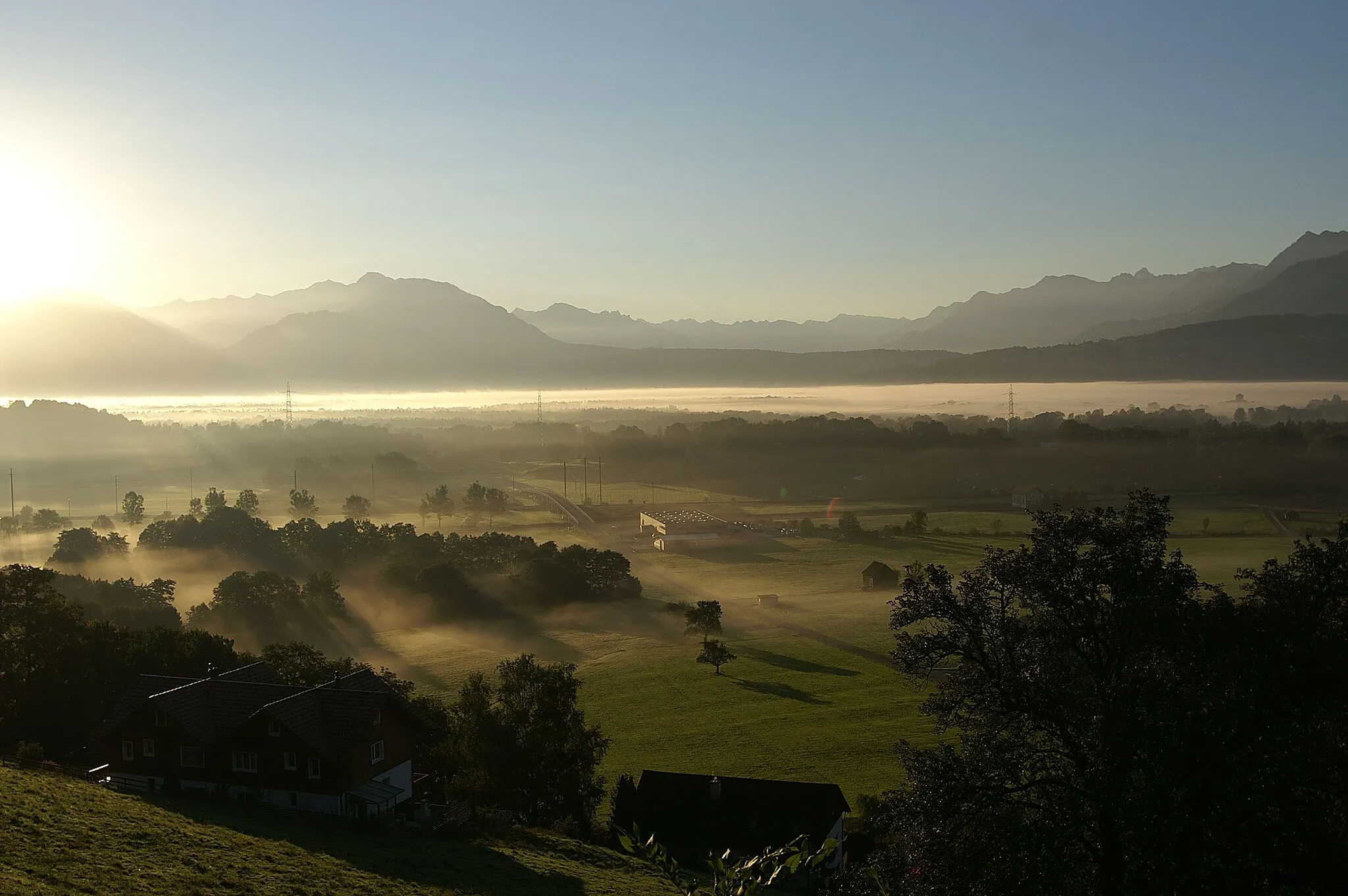Photo showing: The morning fog in the Rhine Valley between Lienz / Altstätten and Rüthi.