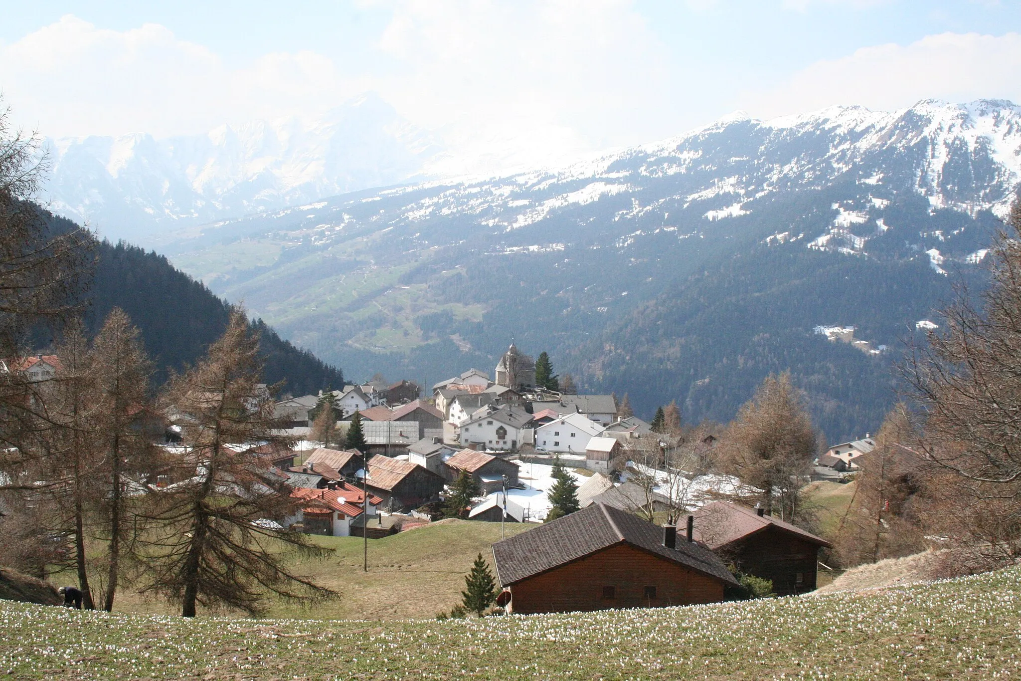 Photo showing: de:Feldis Richtung Südwesten