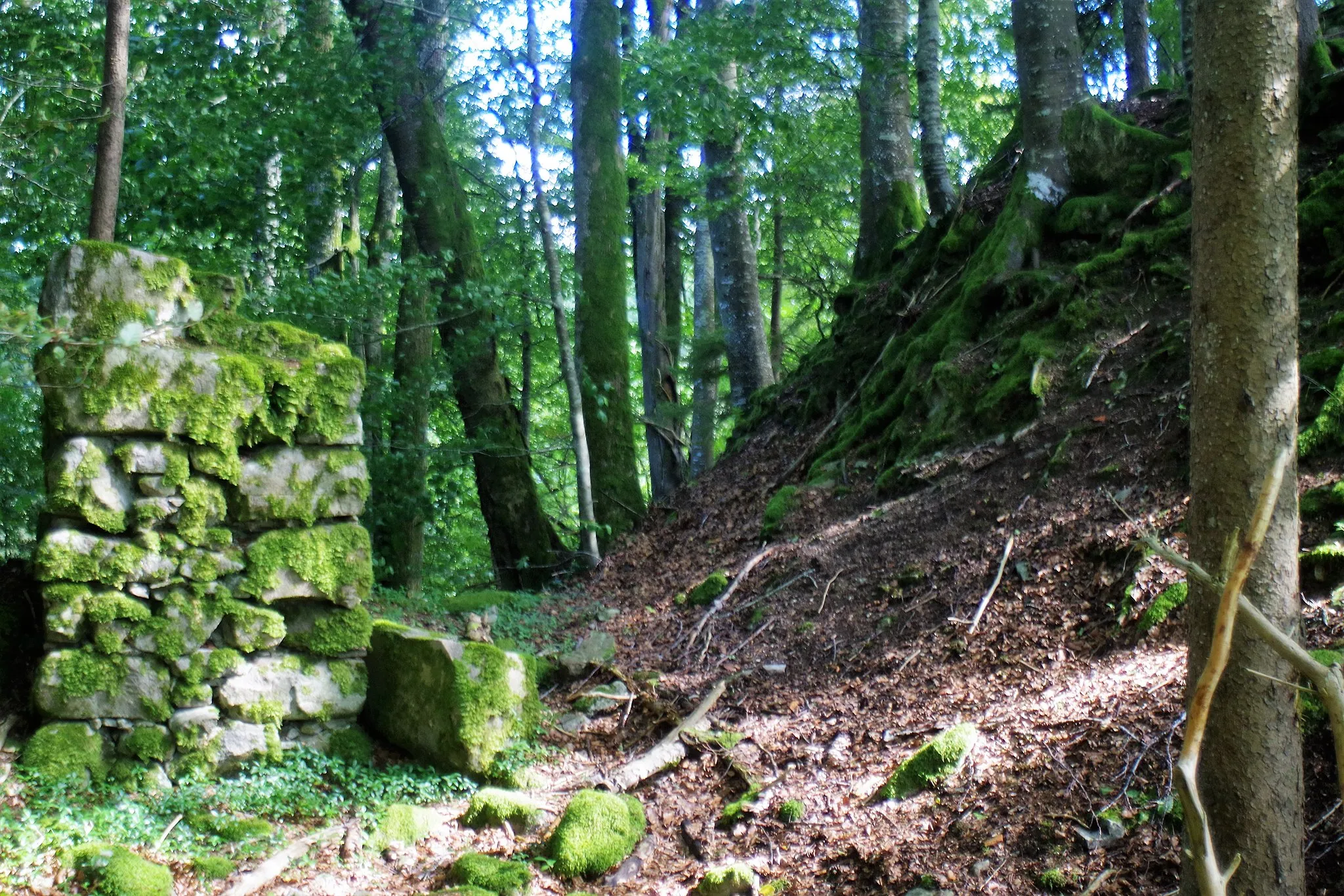 Photo showing: Ruine Mandach